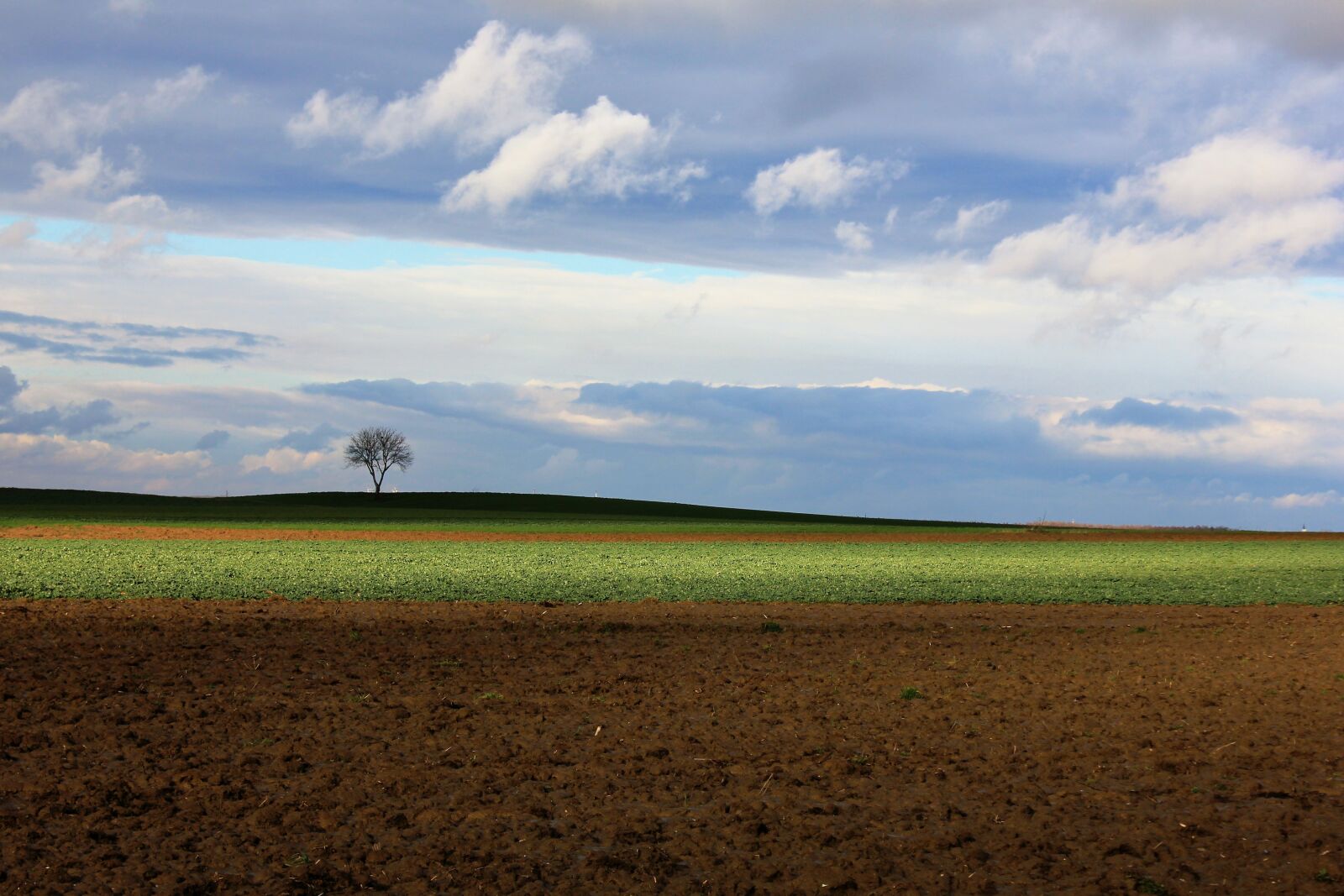 Canon EOS 550D (EOS Rebel T2i / EOS Kiss X4) sample photo. Spring, clouds, agriculture photography