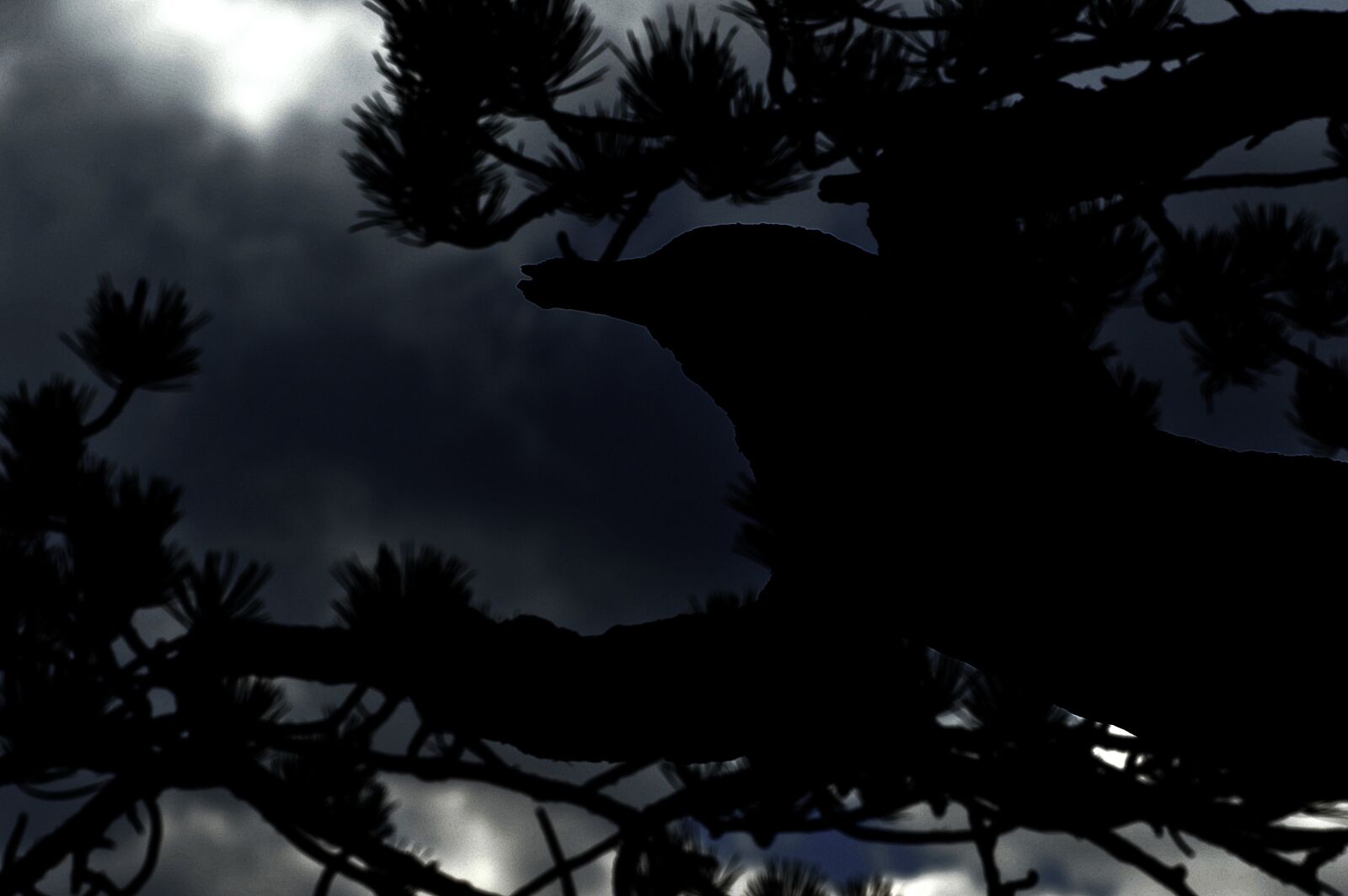 Nikon D3200 sample photo. Mary, help of mountain photography