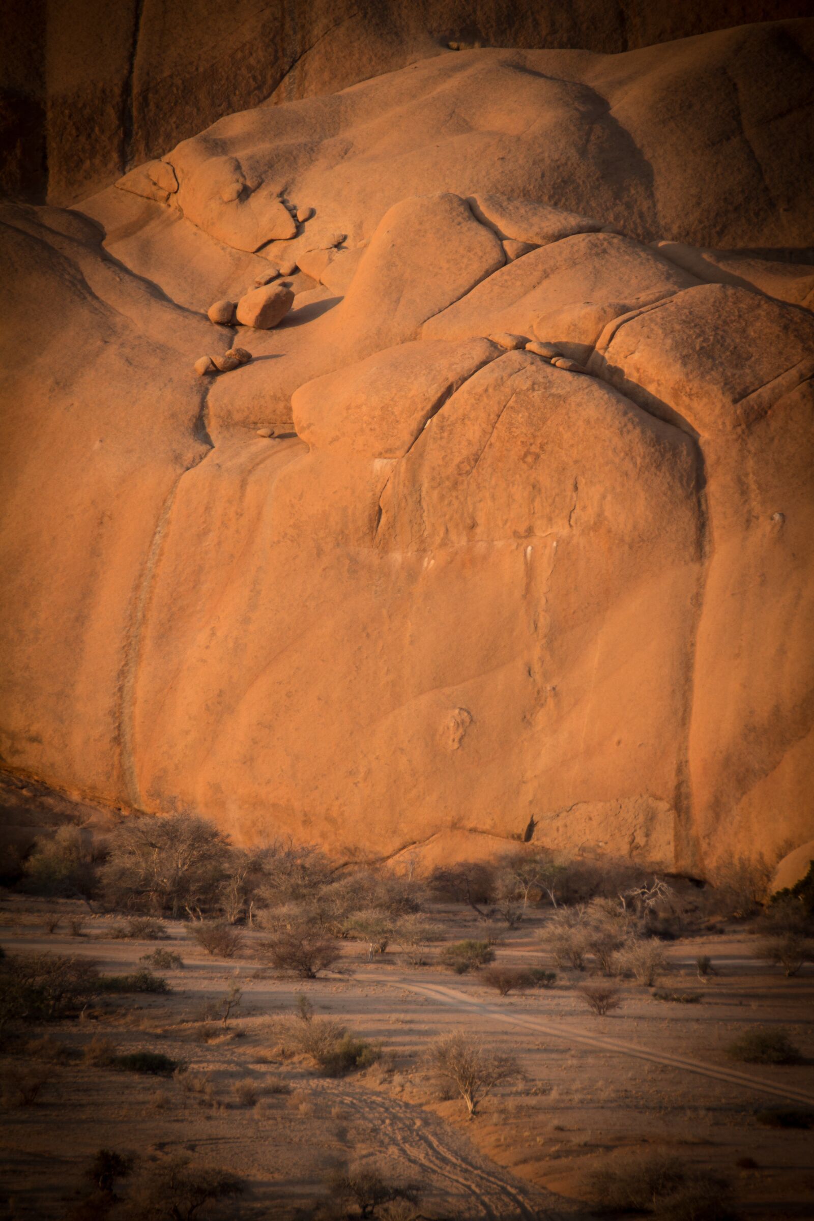 Canon EOS 650D (EOS Rebel T4i / EOS Kiss X6i) sample photo. Namibia, wildlife, africa photography