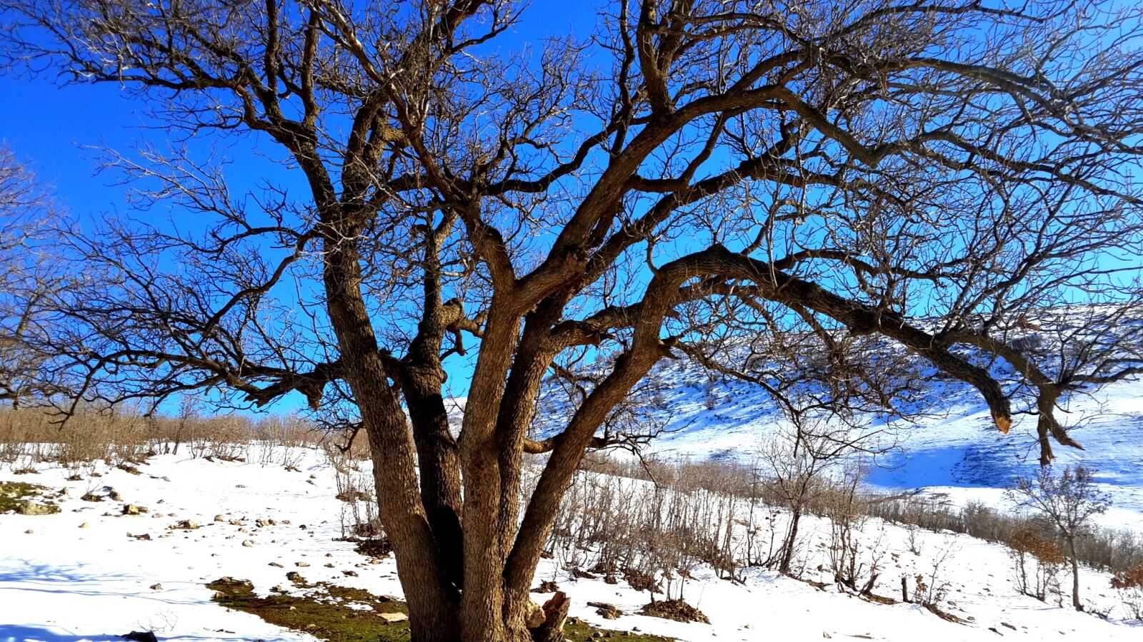 Samsung Galaxy S4 sample photo. Kurdistan, iraq, snow photography