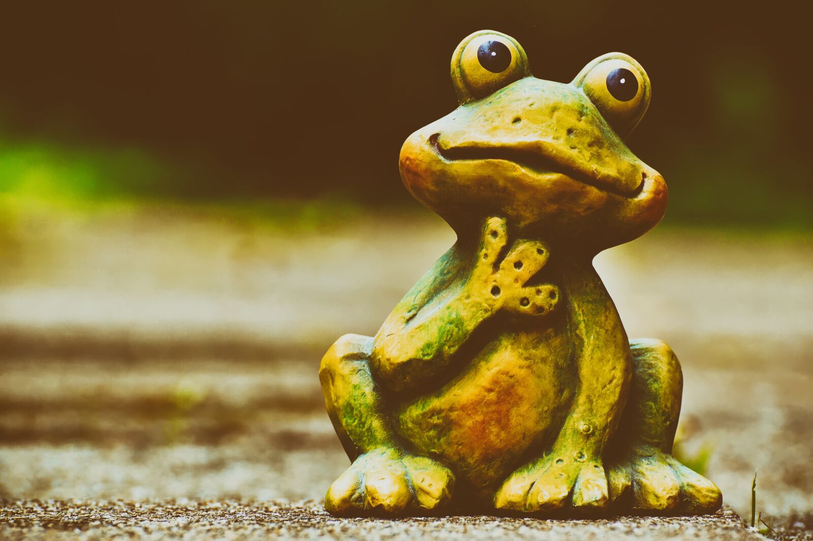 Nikon D3200 sample photo. Frog, figure, funny photography