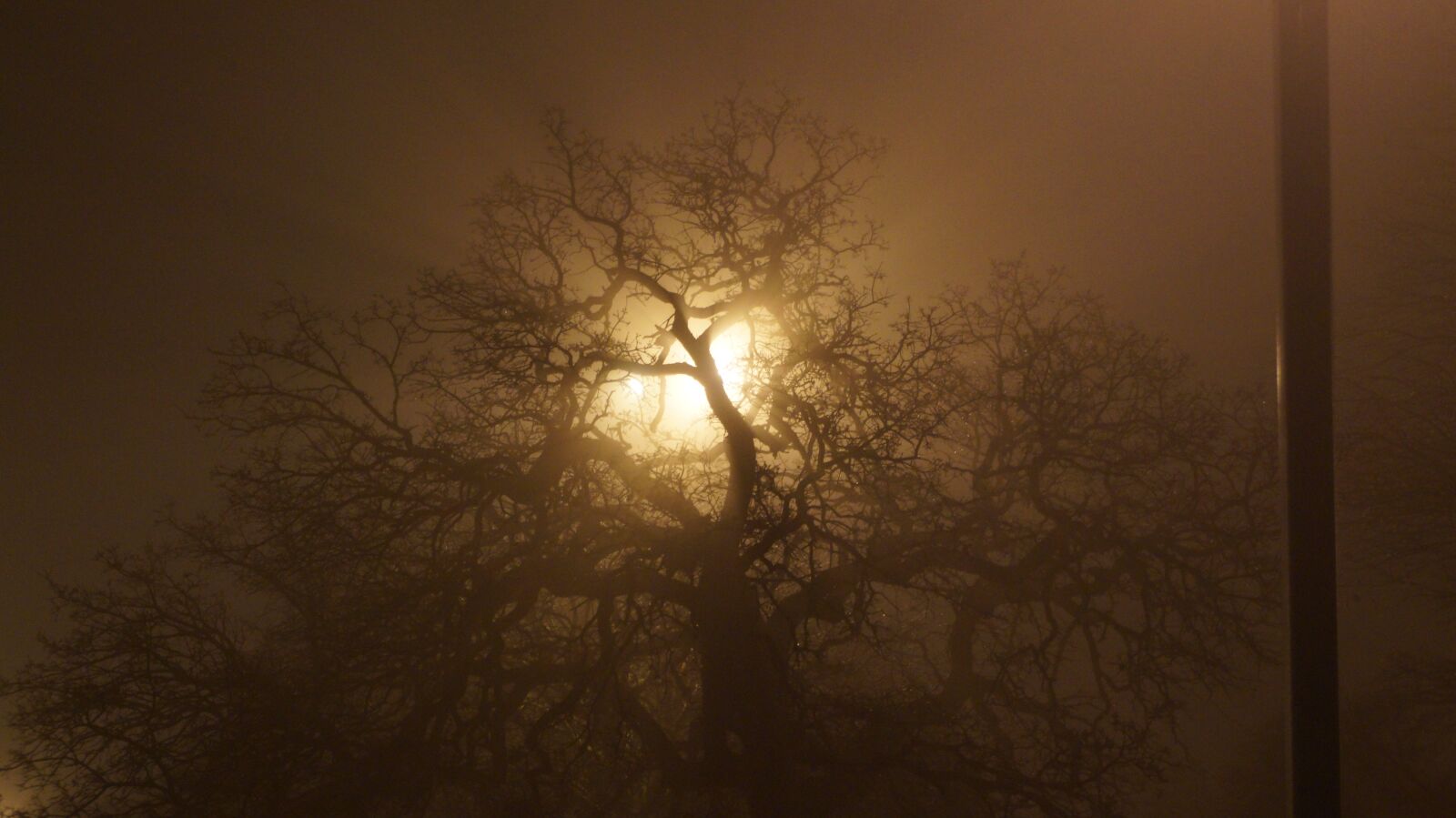 Sony Alpha a3000 + Sony E 18-55mm F3.5-5.6 OSS sample photo. Moon, fog, god rays photography