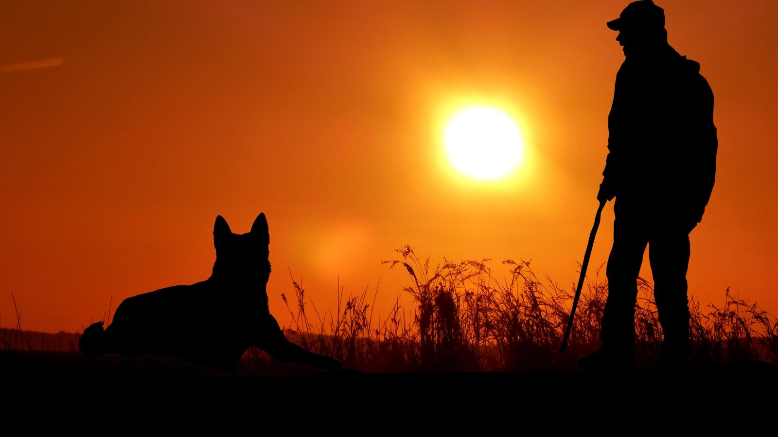 Panasonic Lumix DMC-FZ200 sample photo. Sunset, dog, man photography