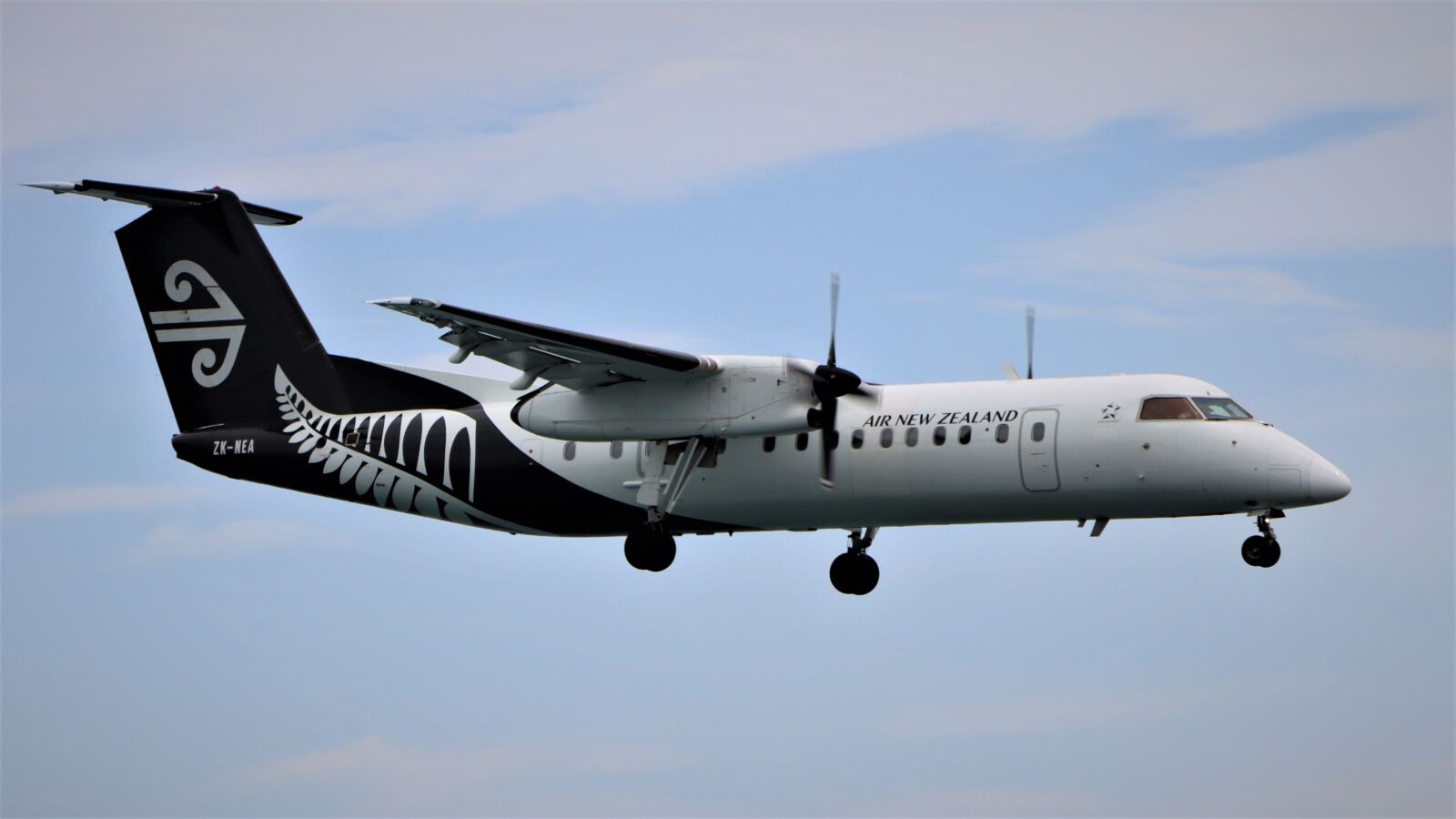 Canon EF-S 18-135mm F3.5-5.6 IS USM sample photo. Air new zealand, de photography