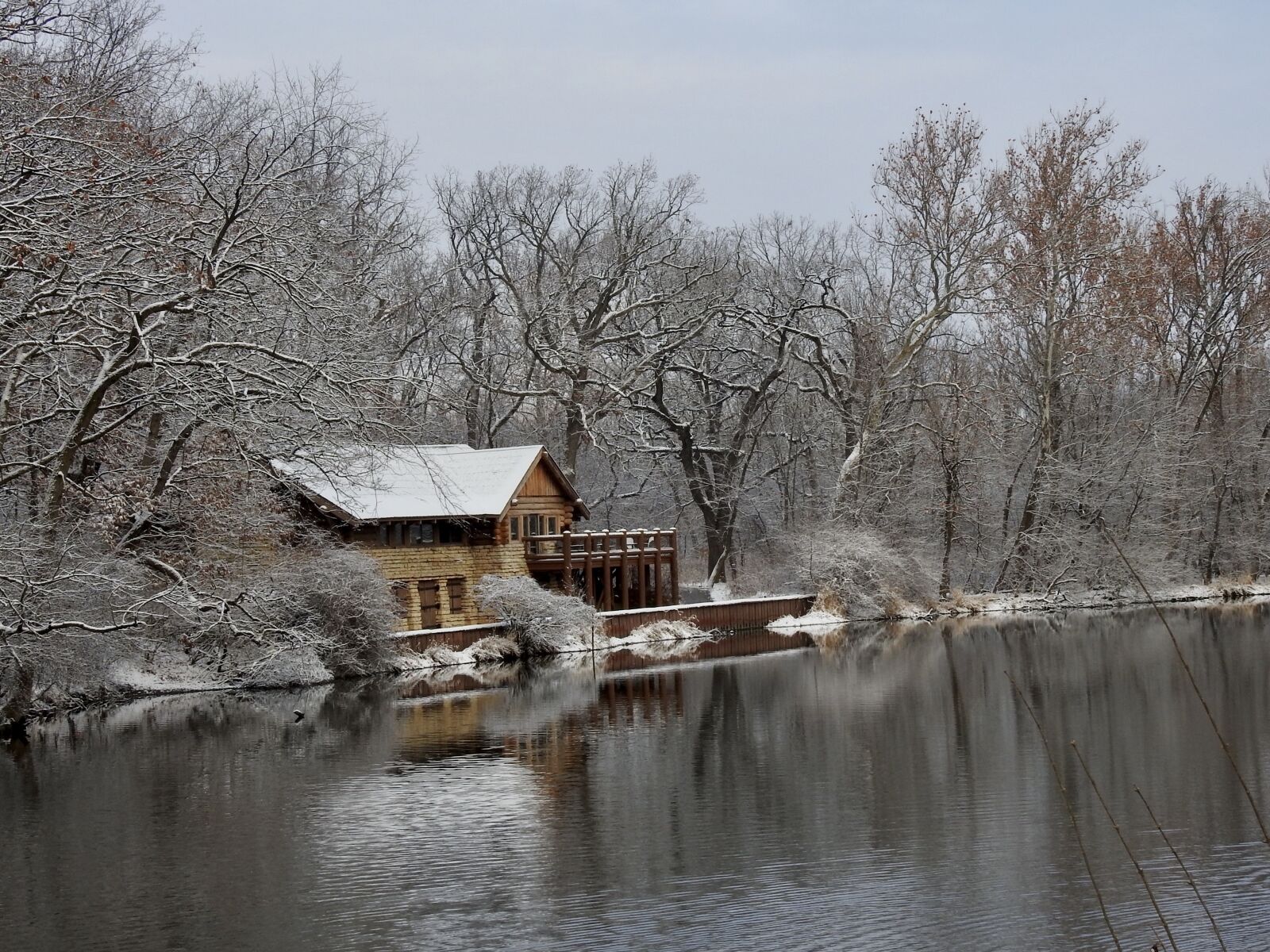 Nikon Coolpix P900 sample photo. Winter, snow, creek photography