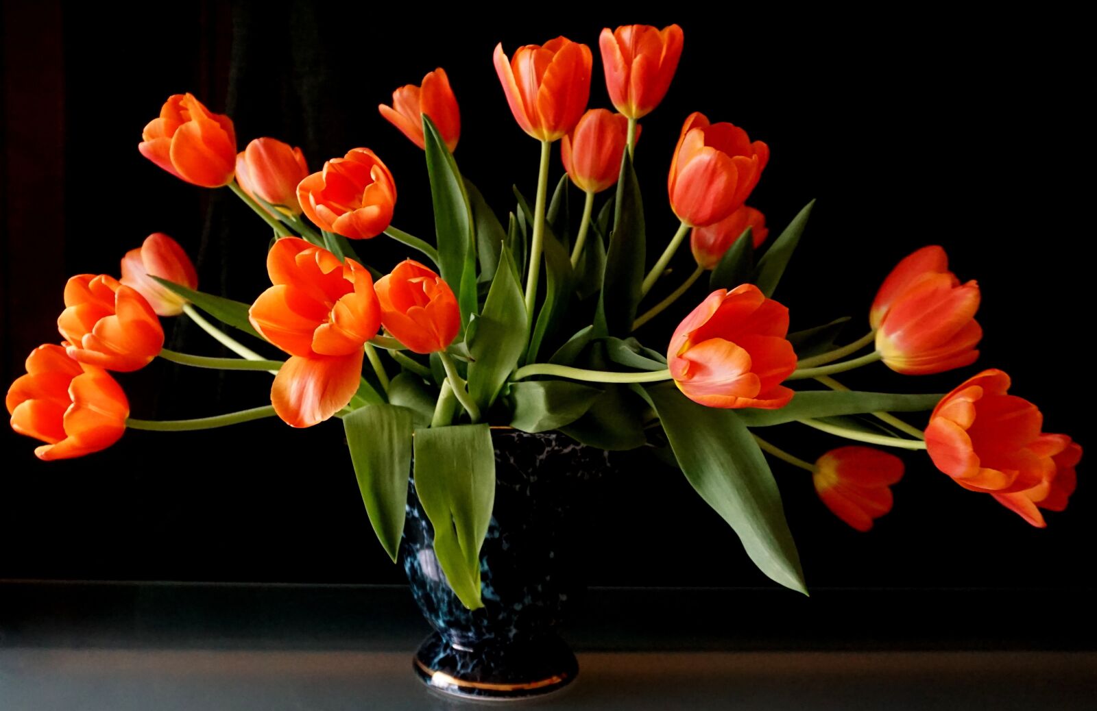 Sony a6000 sample photo. Flowers, tulips, spring photography