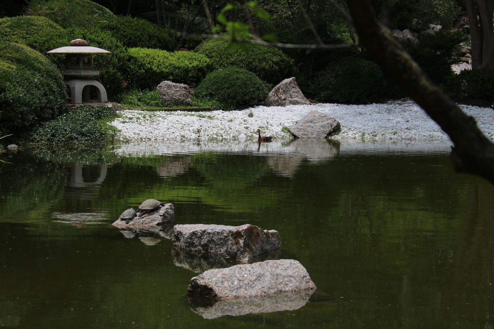 Canon EOS 750D (EOS Rebel T6i / EOS Kiss X8i) sample photo. Japanese, park, nature photography