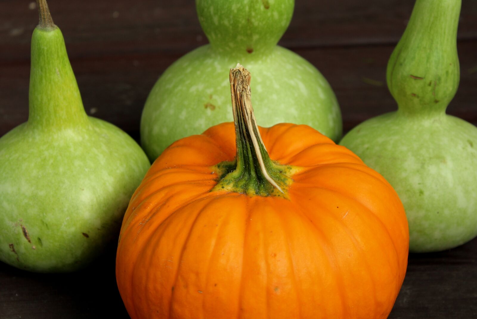 Canon EOS 1200D (EOS Rebel T5 / EOS Kiss X70 / EOS Hi) sample photo. Pumpkin, calabash, collections photography