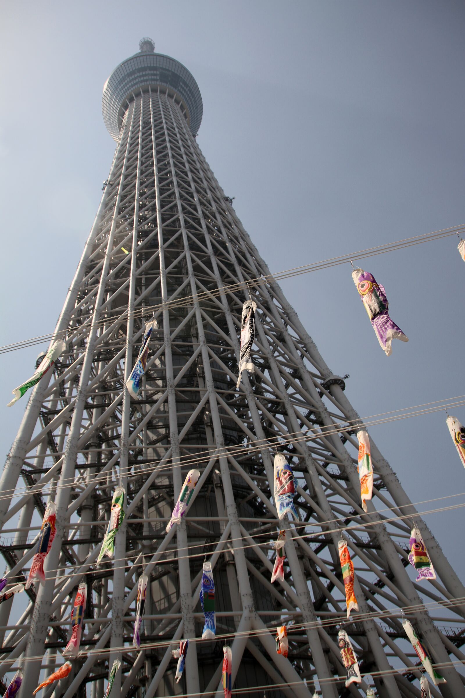 Canon EOS 7D sample photo. Skytree, tower, tokyo photography