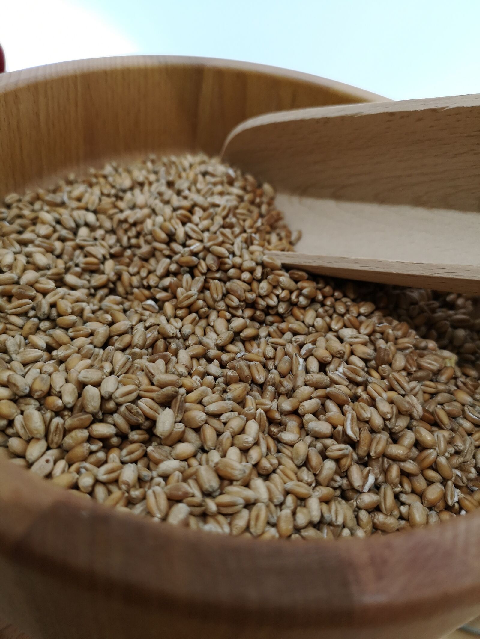 HUAWEI CLT-L29 sample photo. Cereals, wheat, food photography