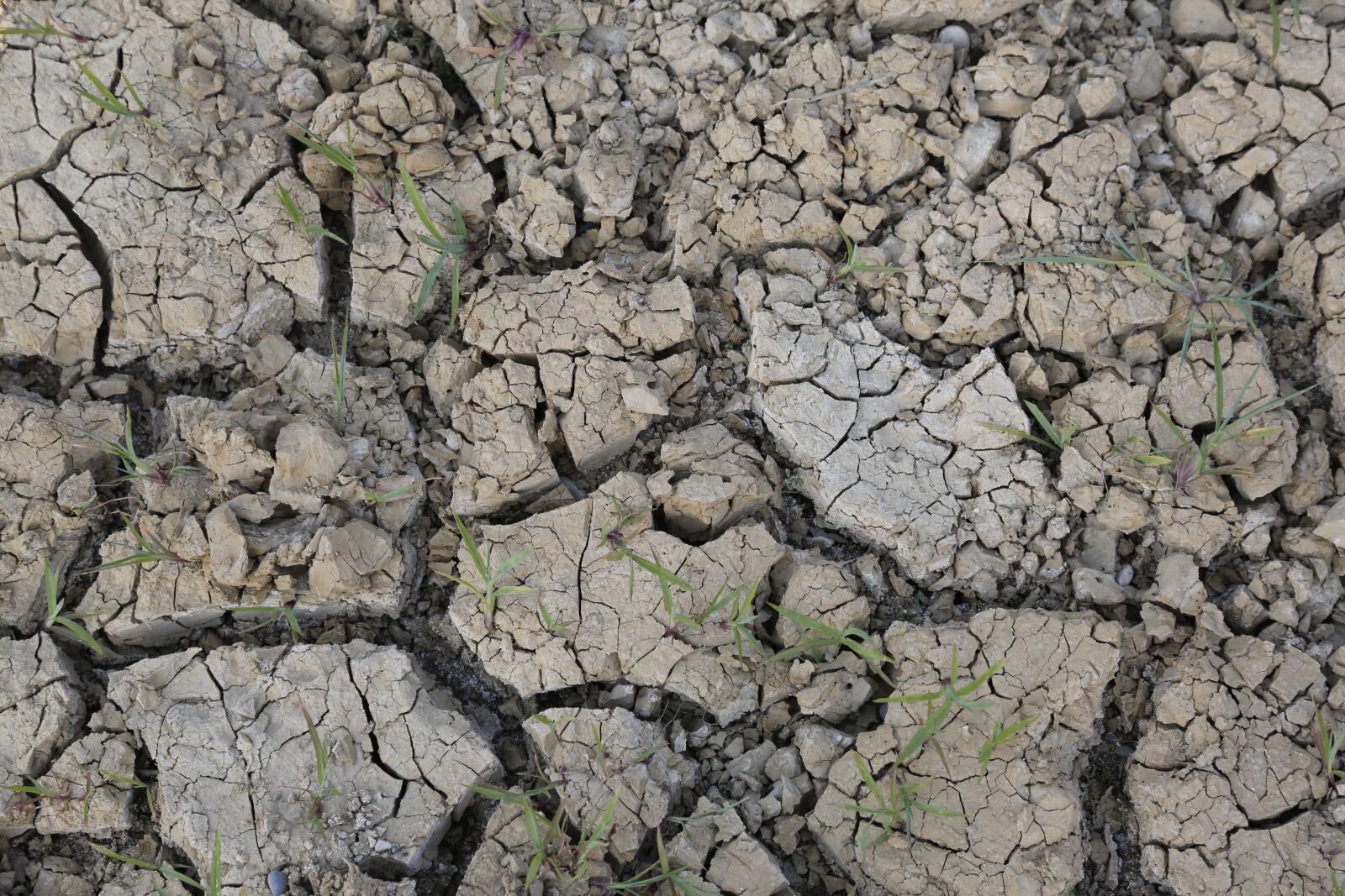 Canon EF 24-105mm F4L IS USM sample photo. Saline, background, drought photography