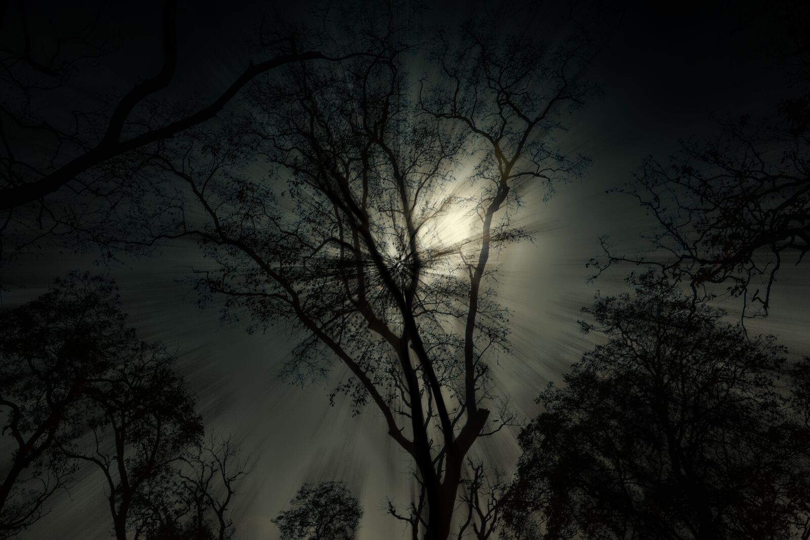 Nikon D5200 sample photo. Long exposure, sun, zoom photography