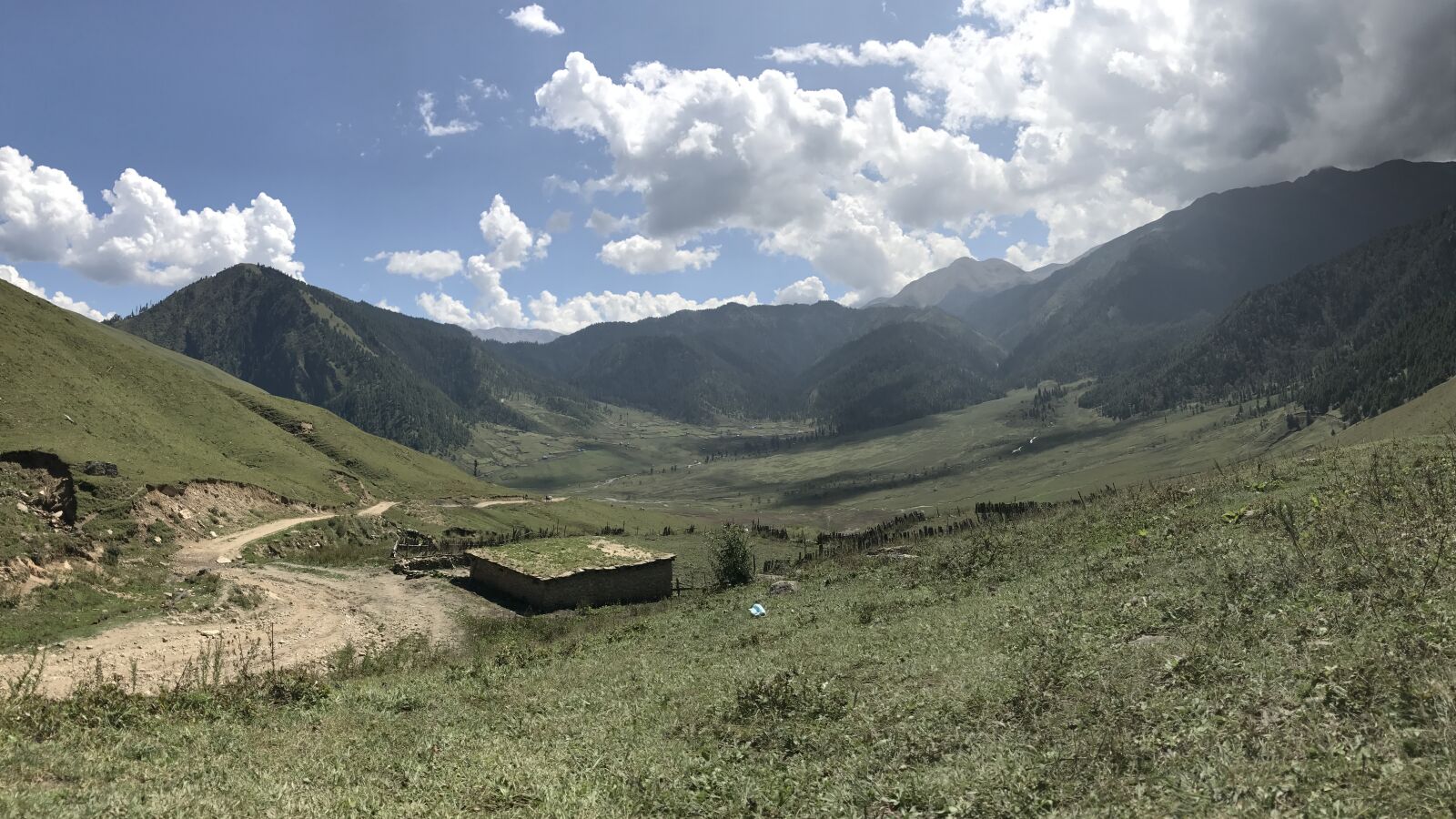 iPhone 7 back camera 3.99mm f/1.8 sample photo. Nature, jumla, rara photography
