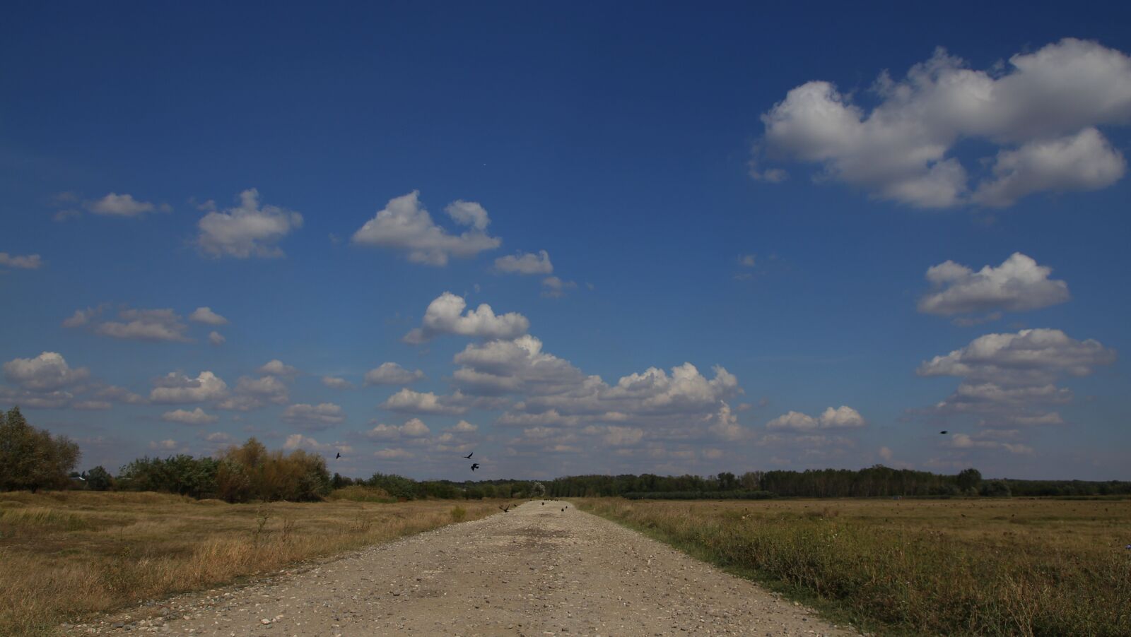 Canon EOS 700D (EOS Rebel T5i / EOS Kiss X7i) sample photo. Landscape, road, cloud photography