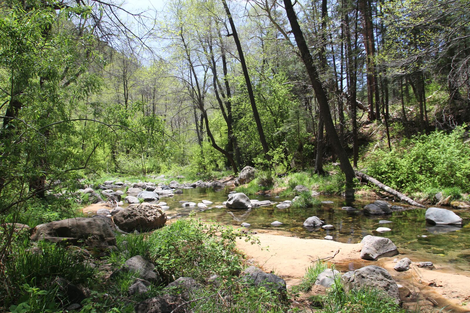 Canon EOS 7D sample photo. Sedona, arizona, nature photography