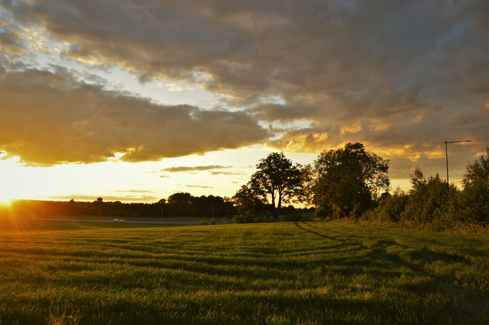 Nikon D3200 sample photo. Clouds, evening, field, forest photography