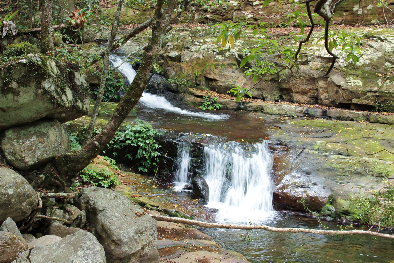 Canon EOS 1300D (EOS Rebel T6 / EOS Kiss X80) sample photo. Rainforest, water, waterfall photography