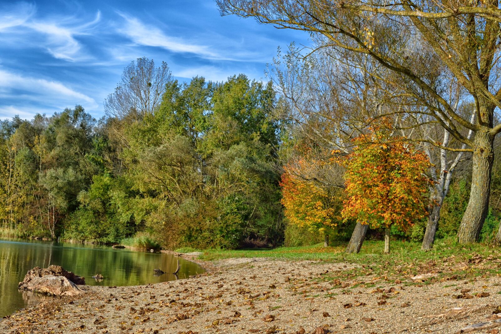 Nikon D750 sample photo. Autumn, green, fall foliage photography