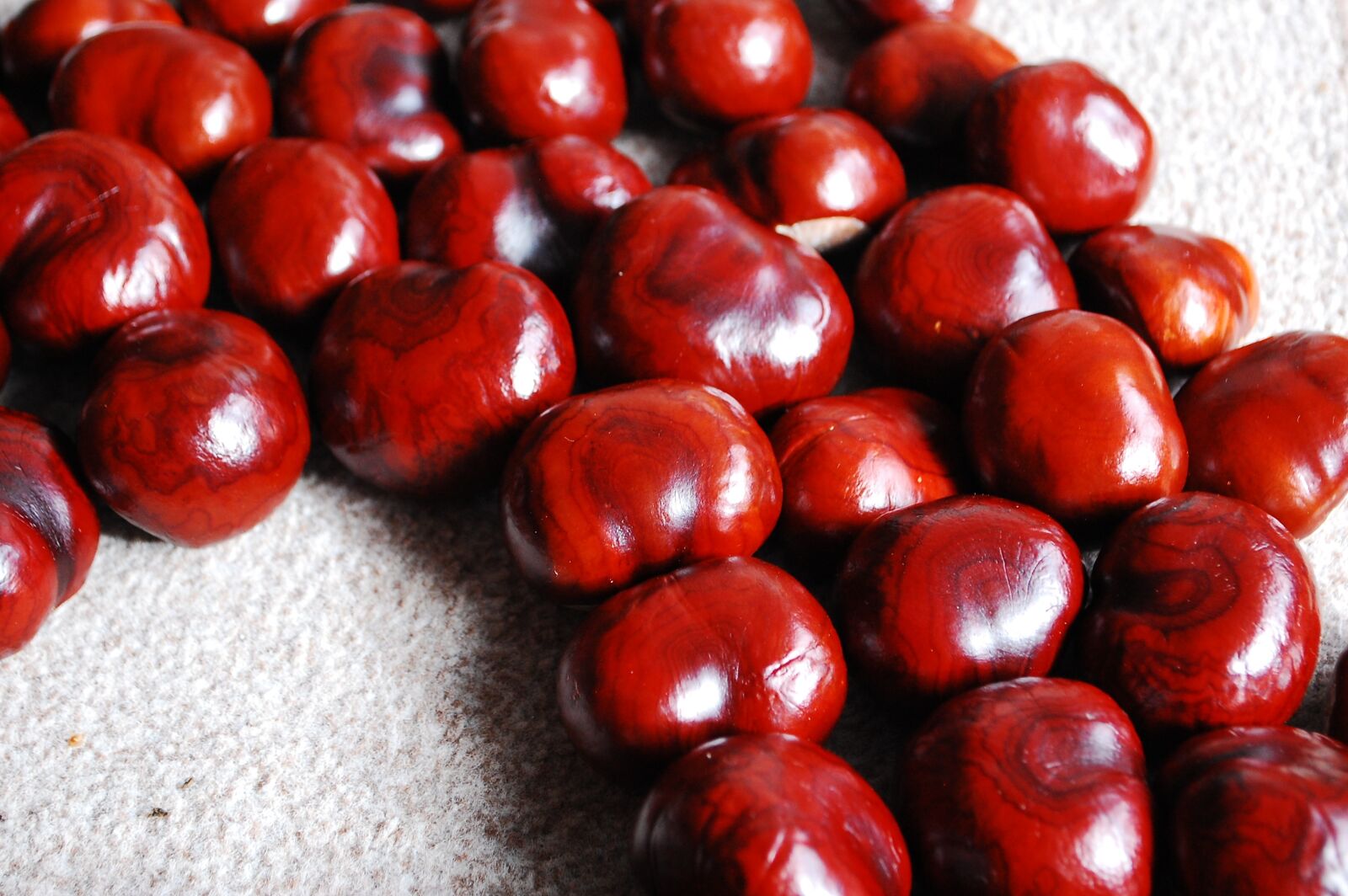 Nikon D40 sample photo. Chestnut, nuts, still life photography