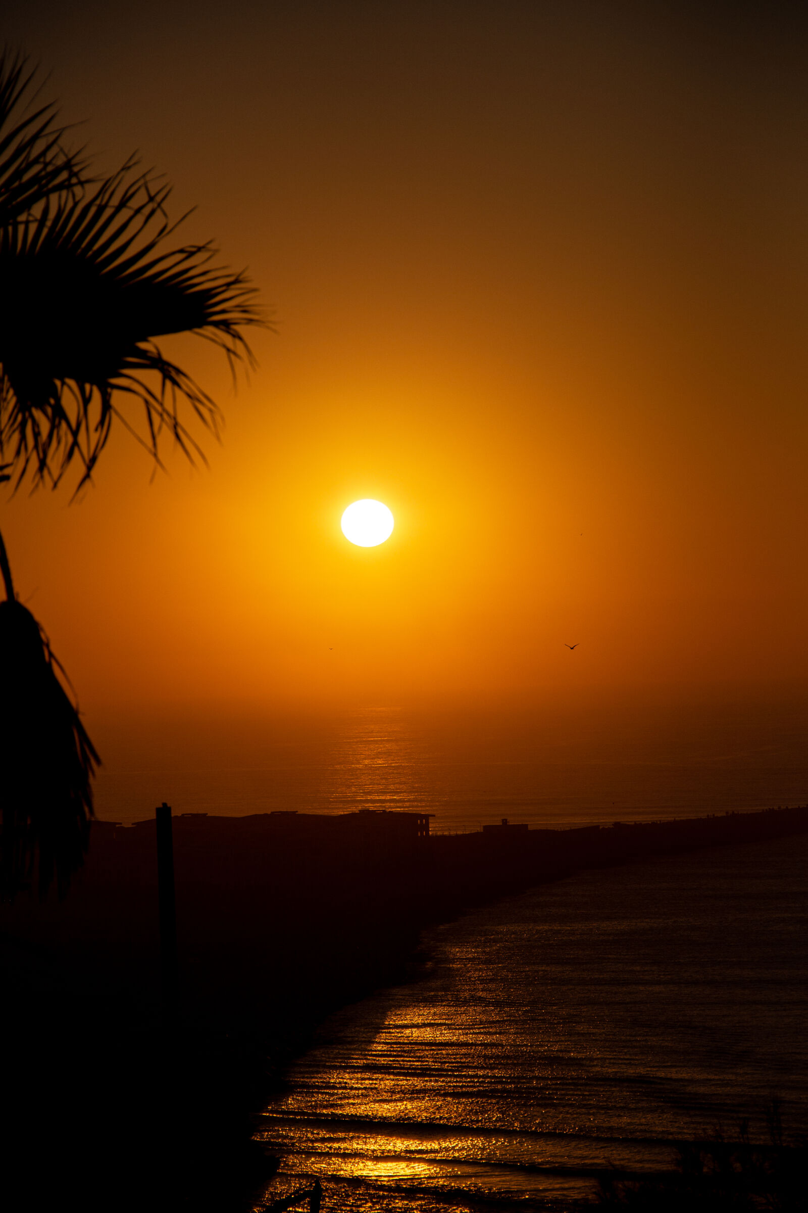 Canon EOS 700D (EOS Rebel T5i / EOS Kiss X7i) sample photo. Beach sunset photography