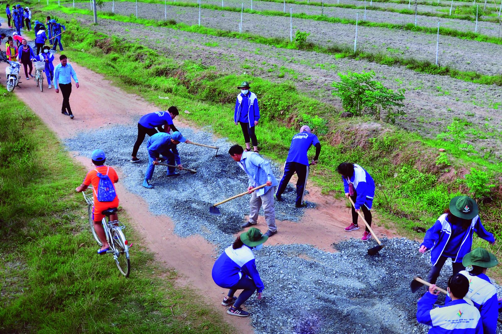 Nikon D300 sample photo. Volunteers, greens, fixing the photography