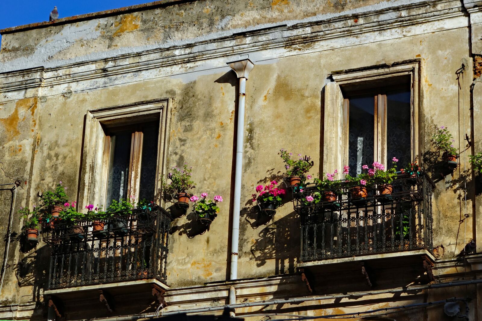 Sony Cyber-shot DSC-RX100 II sample photo. Sardinia, facade, old photography