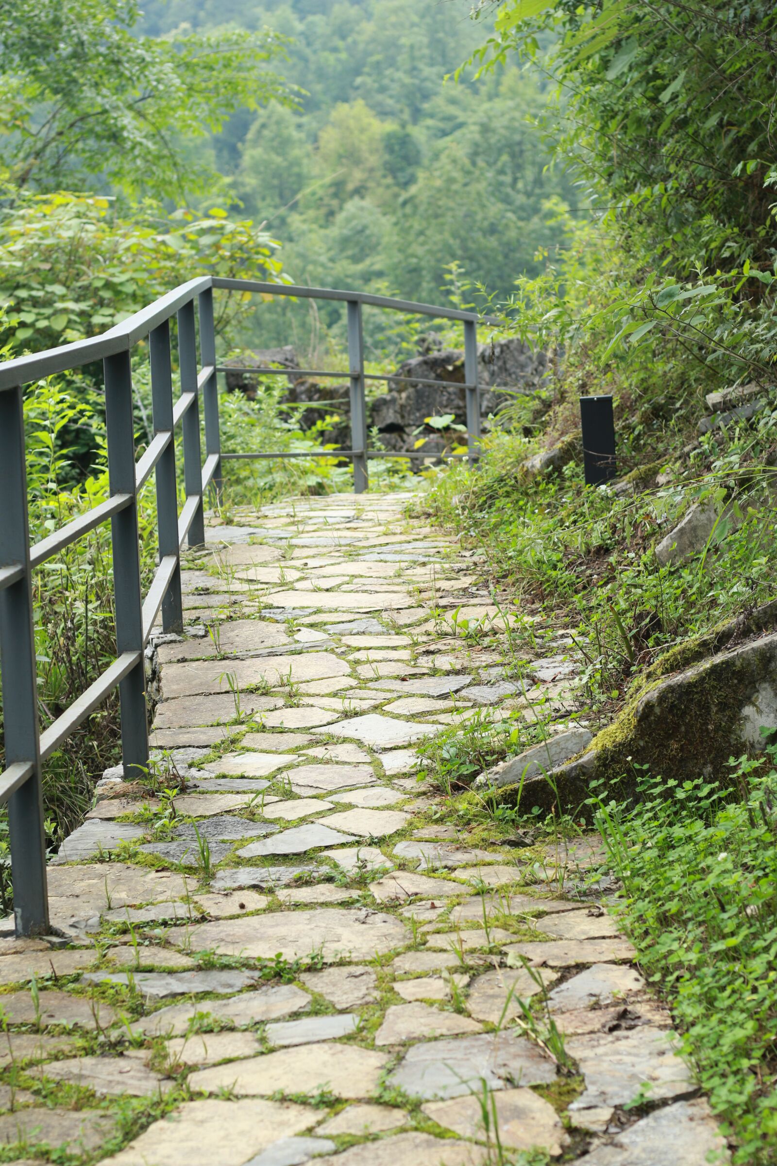 Canon EOS 7D Mark II sample photo. Chongqing, owned the original photography