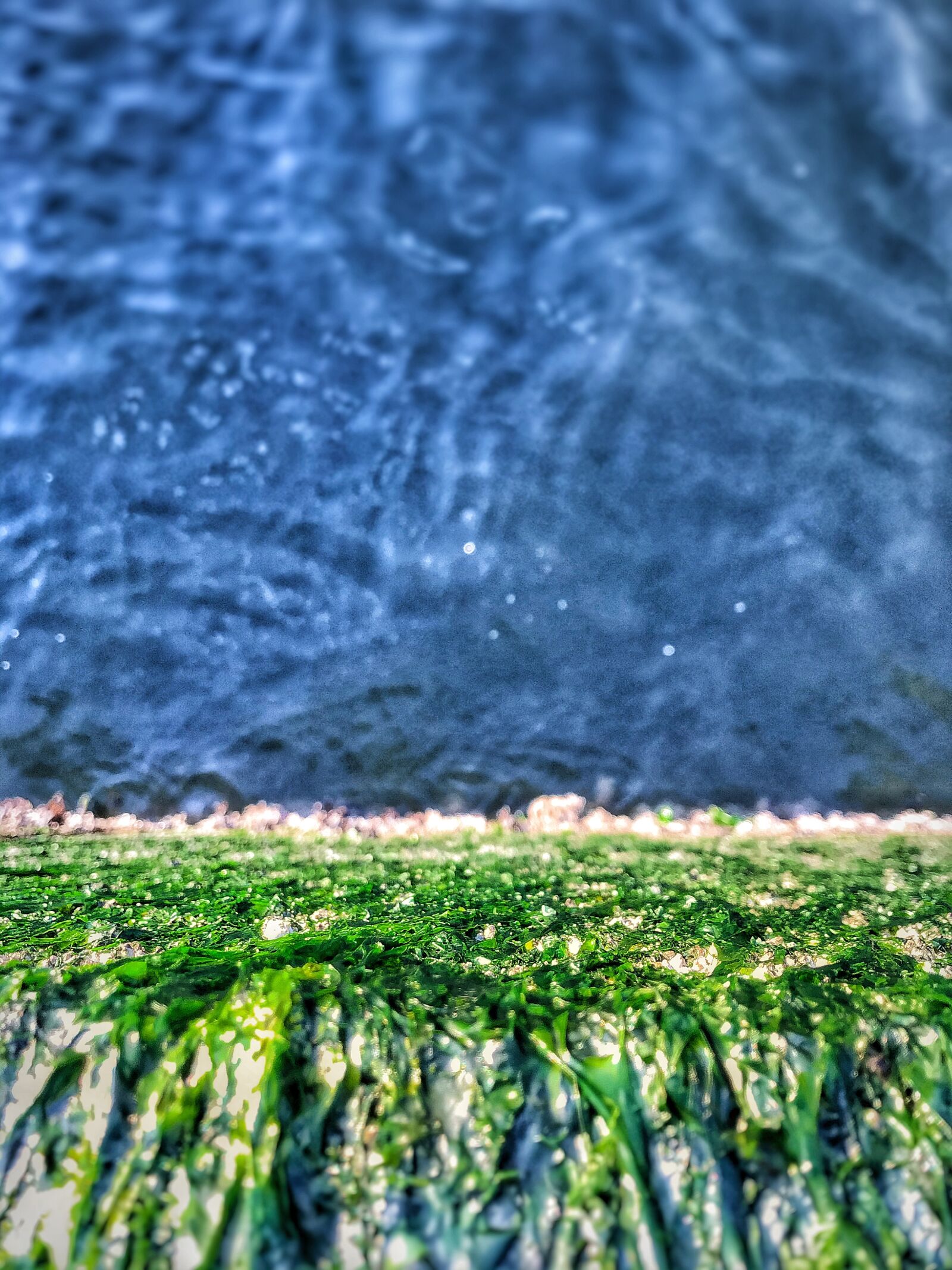 iPhone 7 back camera 3.99mm f/1.8 sample photo. Sea, blue water, ocean photography