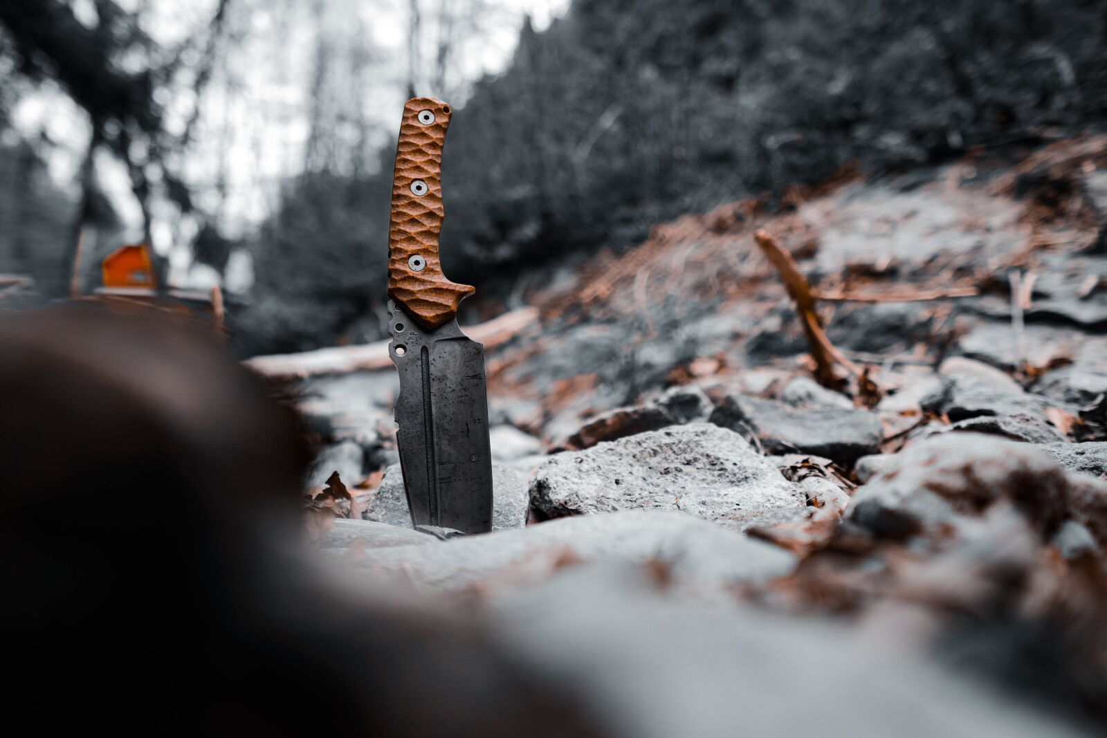 Sony a6400 sample photo. Knife, forest, nature photography