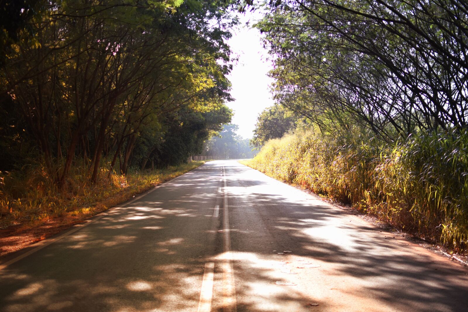 Nikon D5300 sample photo. Path, asphalt, lane photography