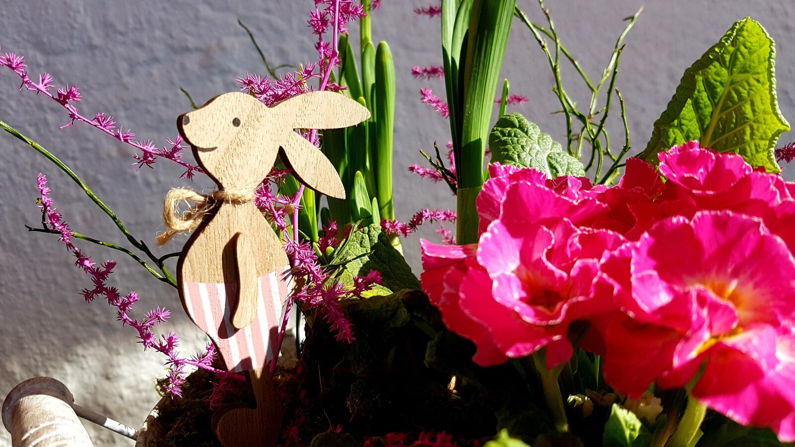 Samsung Galaxy S7 Edge sample photo. Easter, spring, easter bunny photography