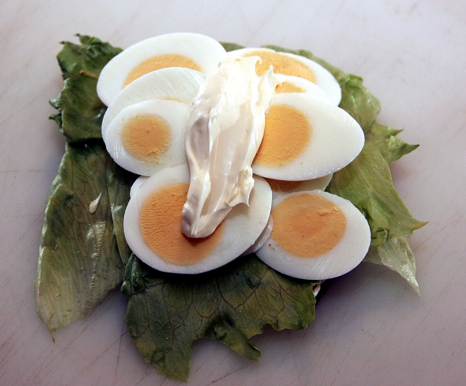Canon EOS 20D sample photo. Open-faced sandwiches, open sandwich photography