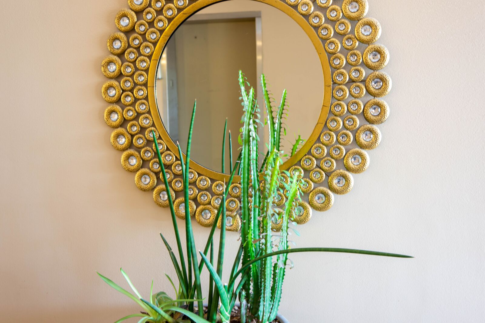 Sony Alpha NEX-7 sample photo. Hallway decor, mirror, succulents photography