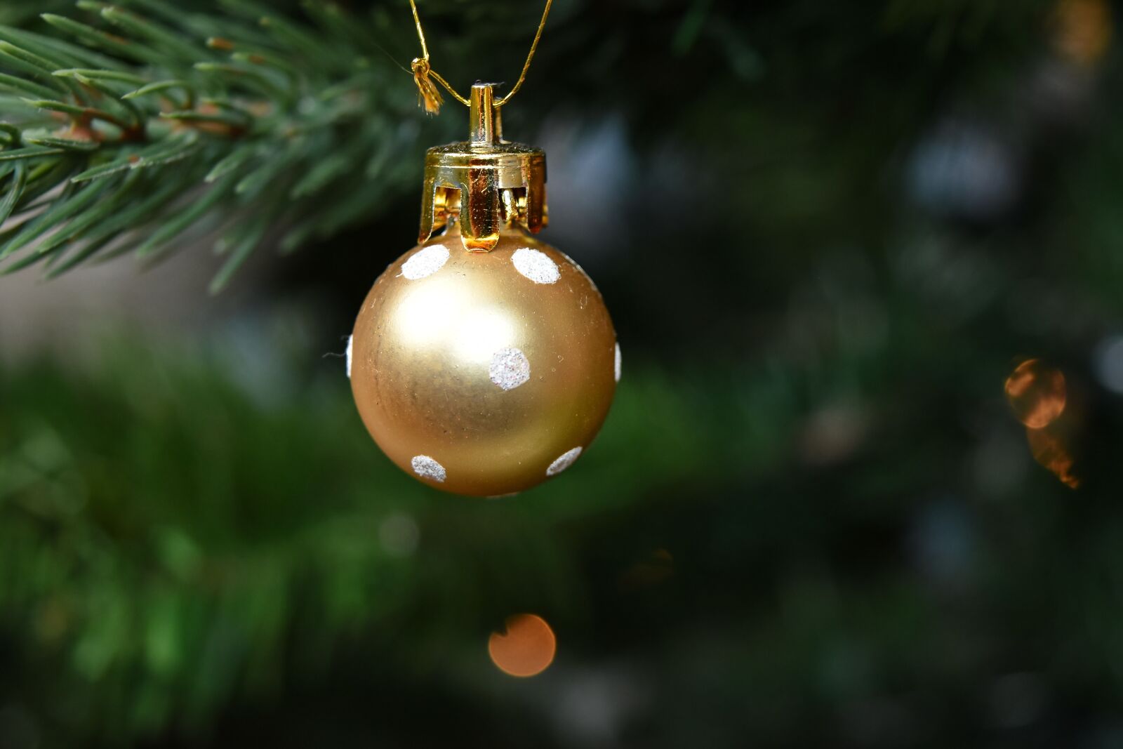 Nikon D5500 sample photo. Christmas, christmas tree, golden photography
