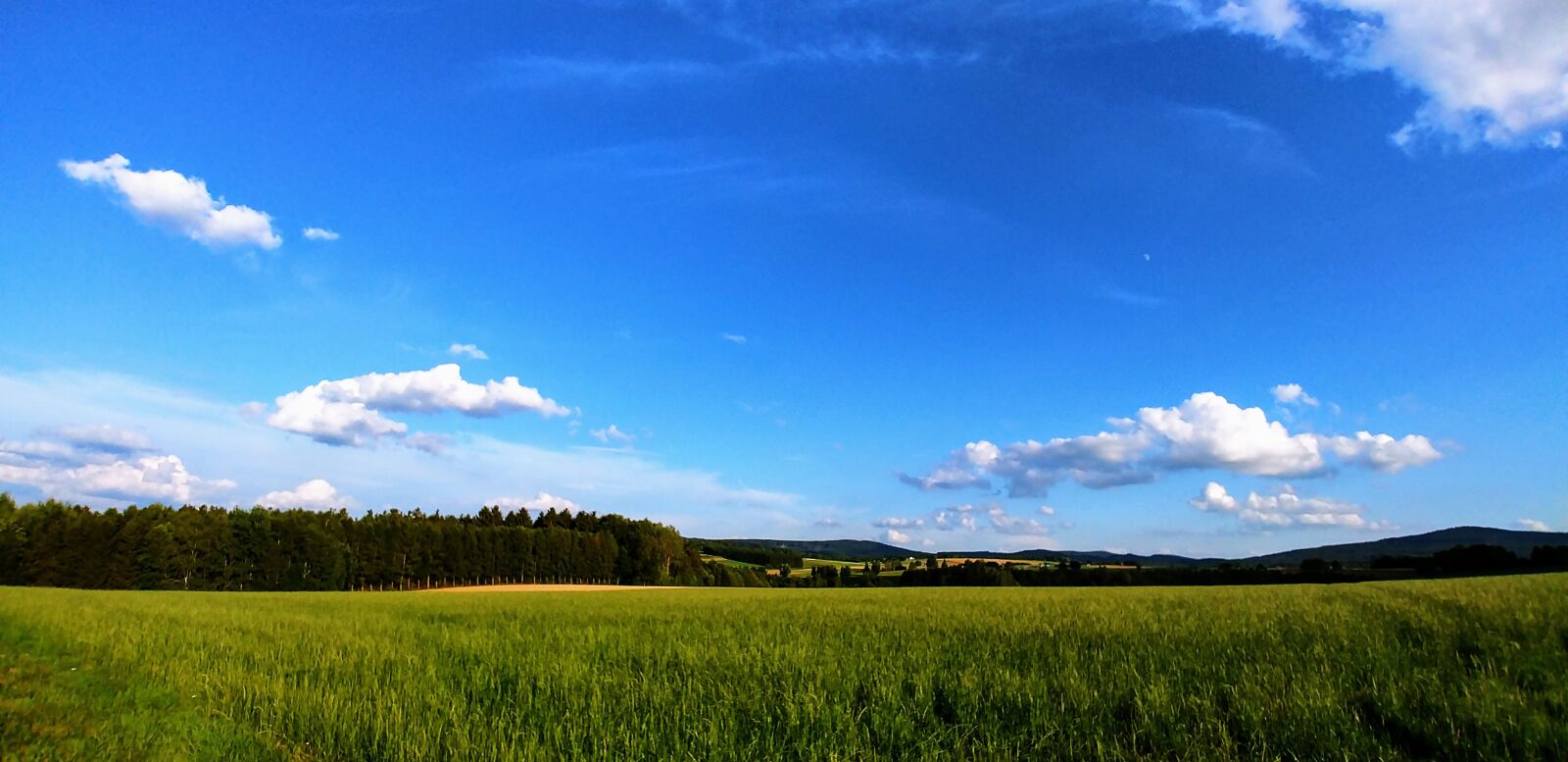 LG G6 sample photo. Green, blue, background photography