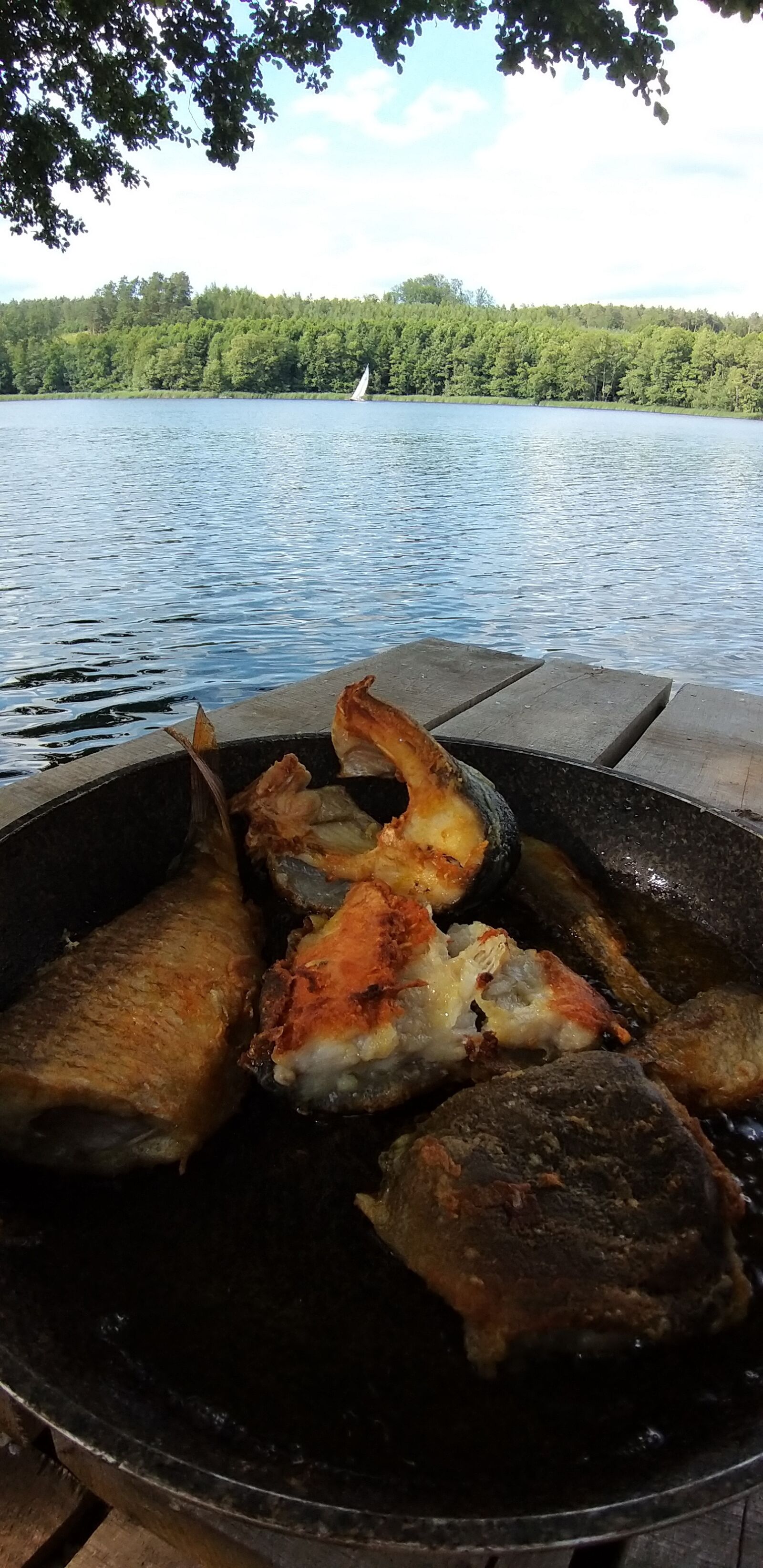 Samsung Galaxy A9 (2018) sample photo. Fish, sailboat, lake photography