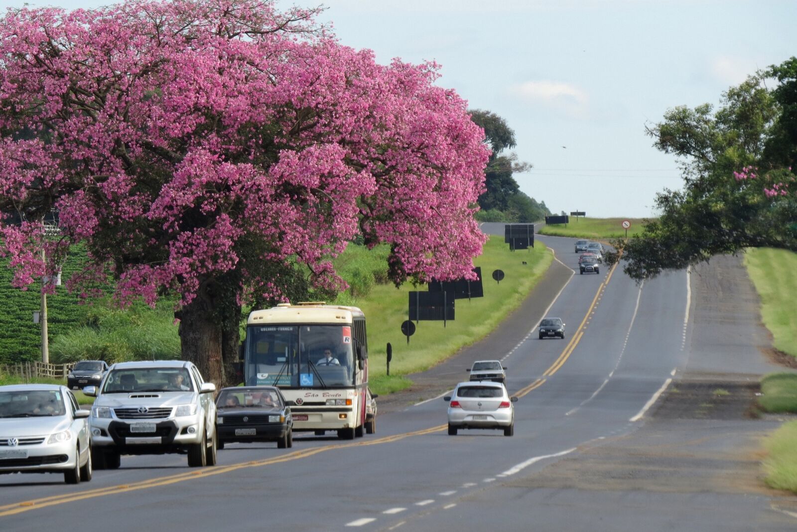 Canon PowerShot SX50 HS sample photo. Landscape, flying, highway photography