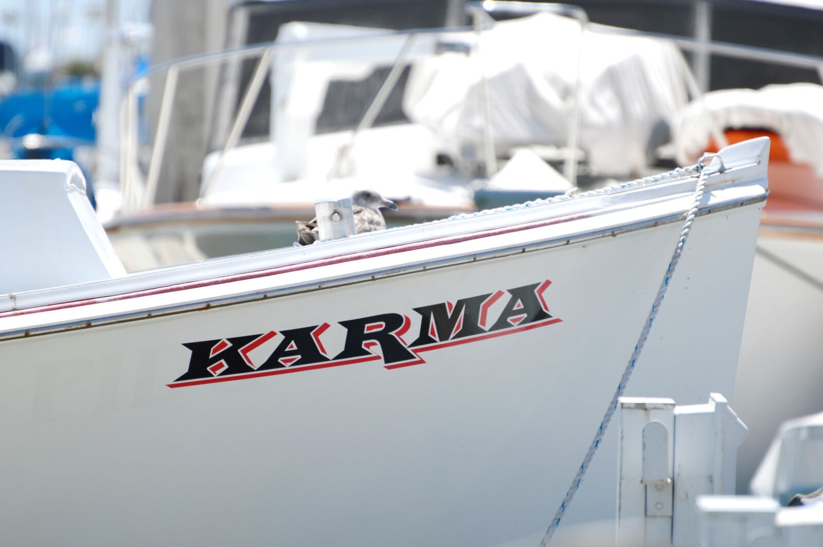 Nikon D3200 sample photo. Boat, karma, marina photography