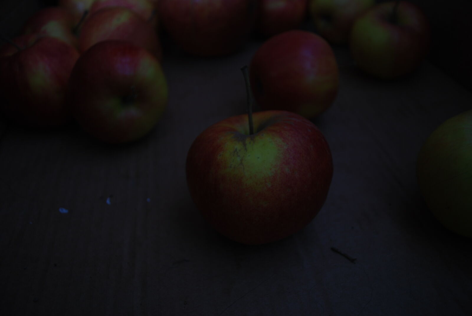 Nikon D60 sample photo. Apple, box, carton, dark photography