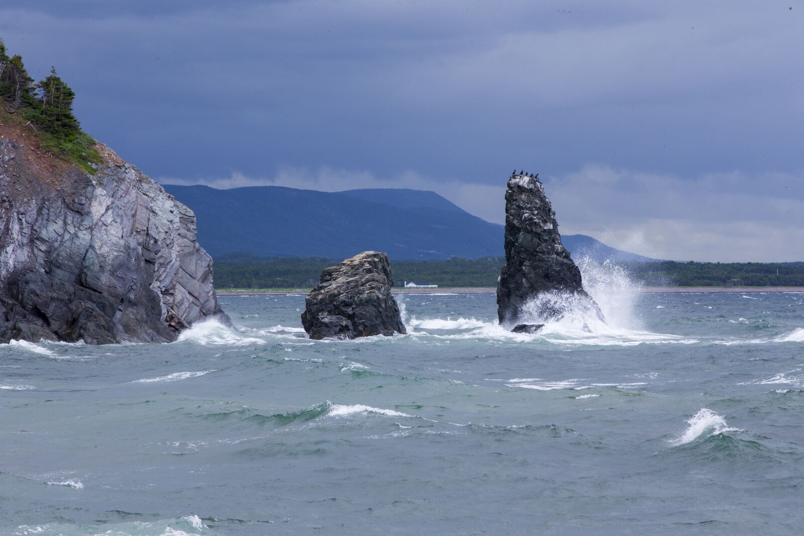 Canon EOS-1D X sample photo. Sea, rock, cliff photography