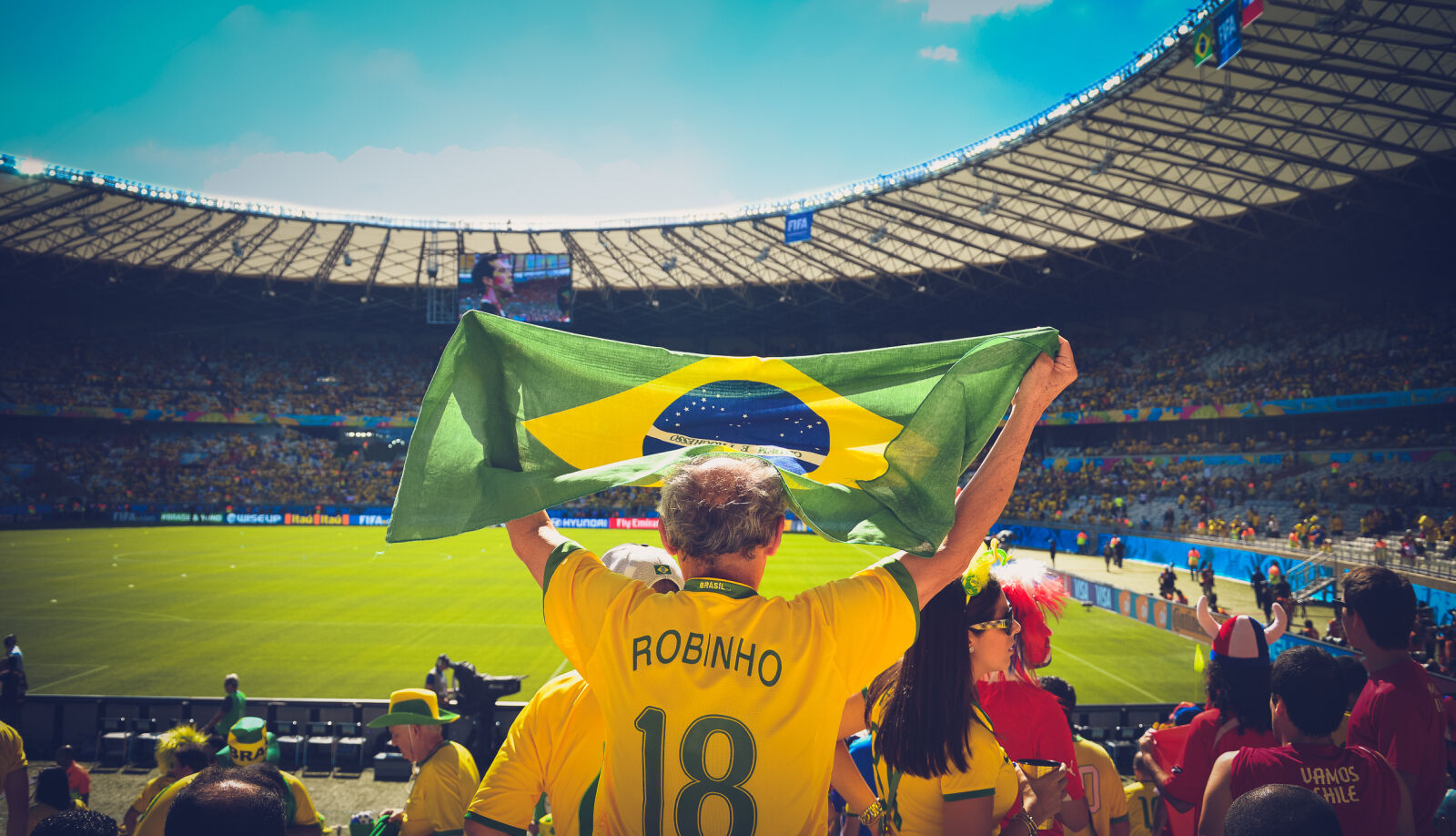 Nikon D3200 sample photo. Stadium, flag, holding, cheering photography