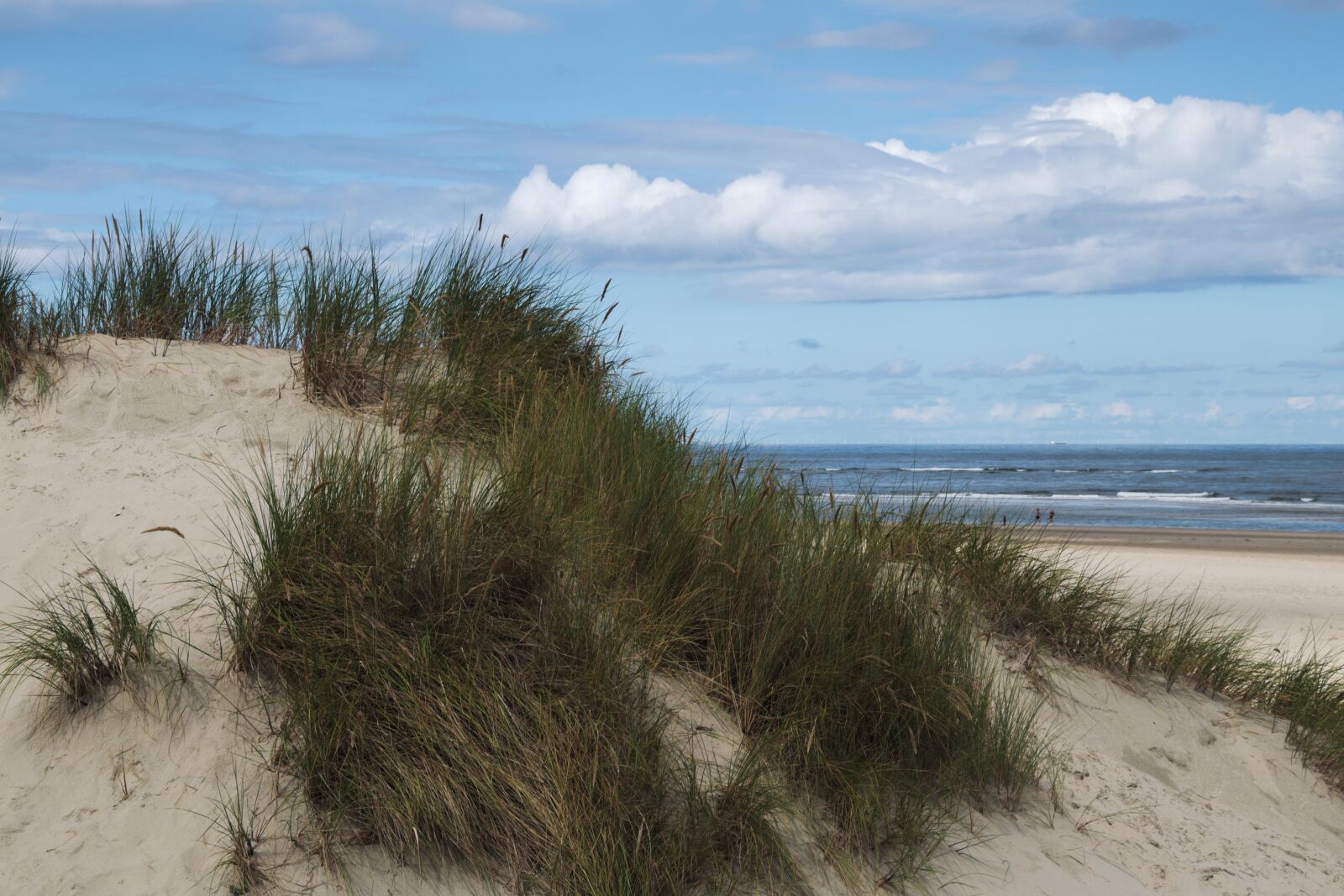 Nikon D5600 sample photo. Dune, baltrum north sea photography