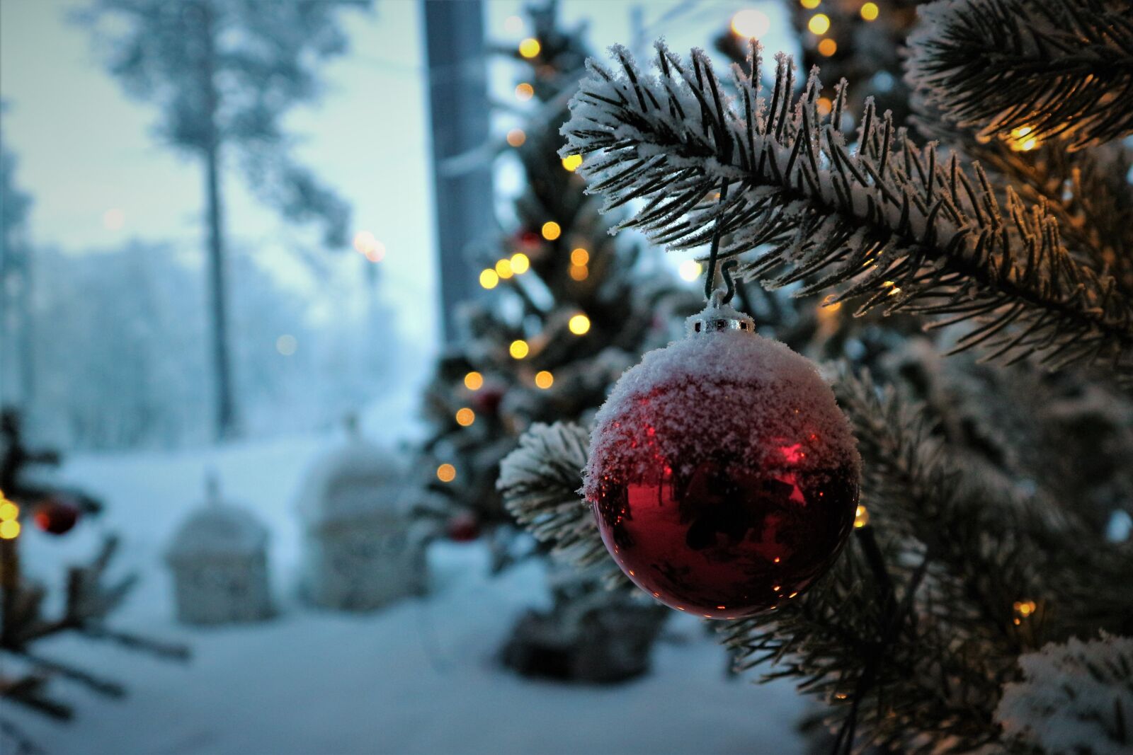 Canon EOS M10 sample photo. Christmas, decoration, holiday photography