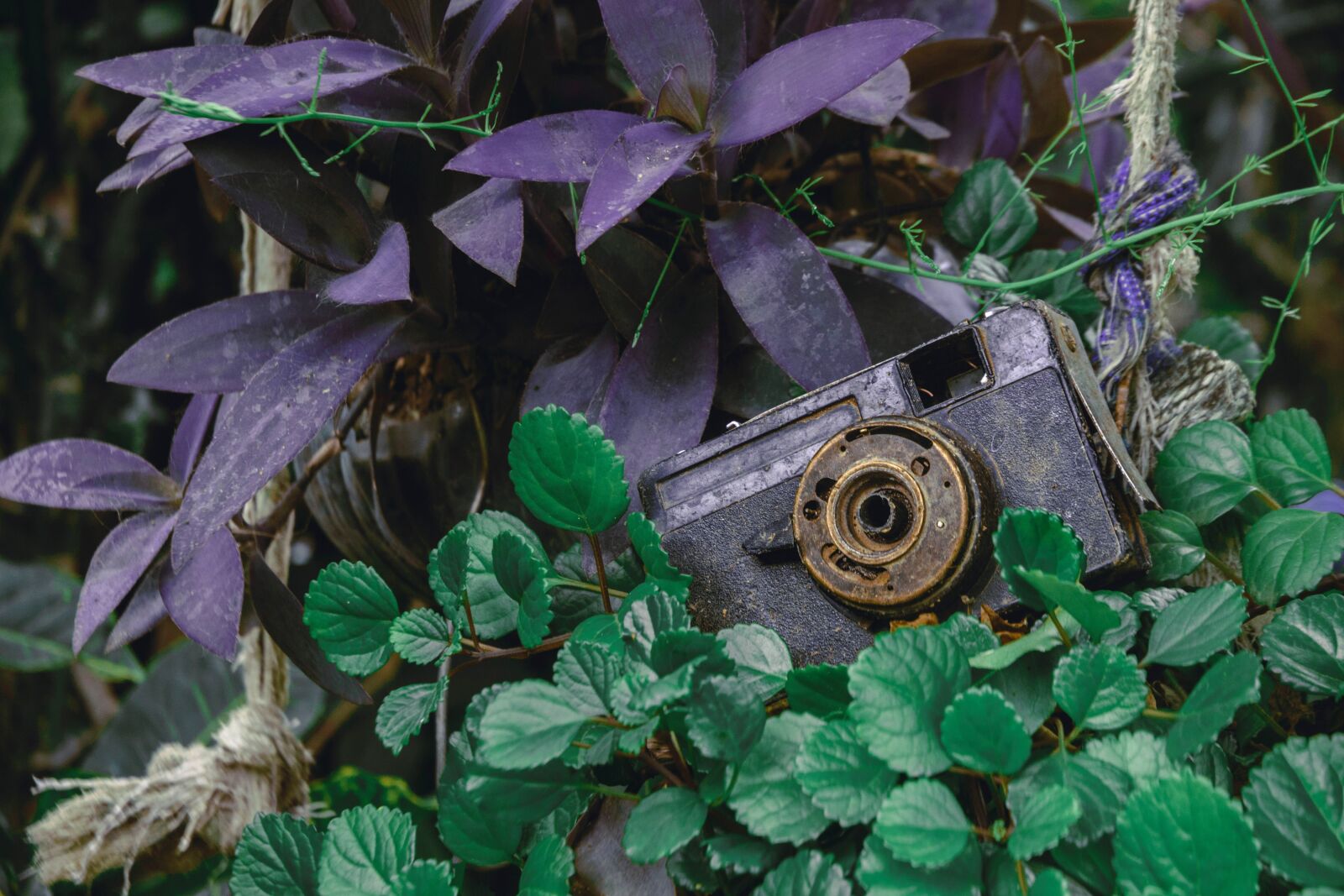 Nikon D3200 sample photo. Vintage, camera, old photography
