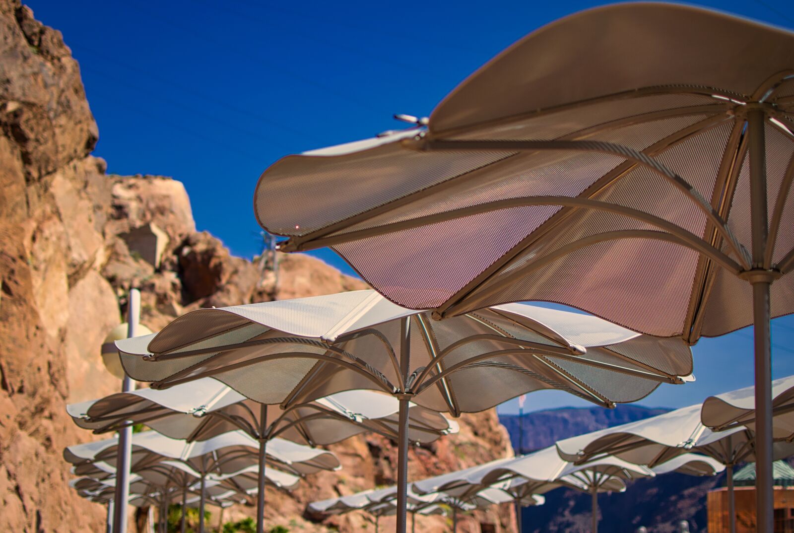 Nikon D3100 sample photo. Sun protection, shade tree photography