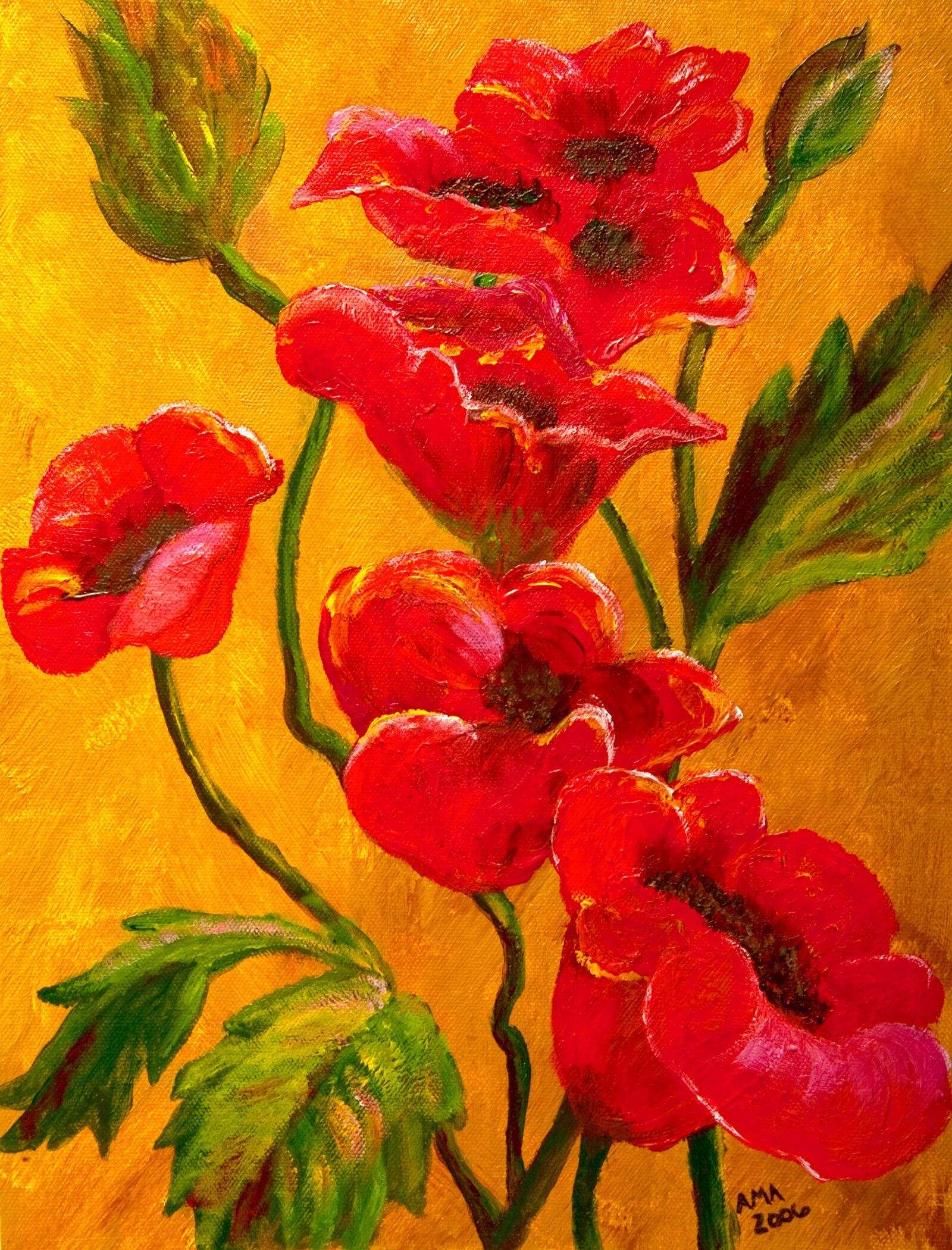 Nikon D700 sample photo. Poppies, poppy, painting photography