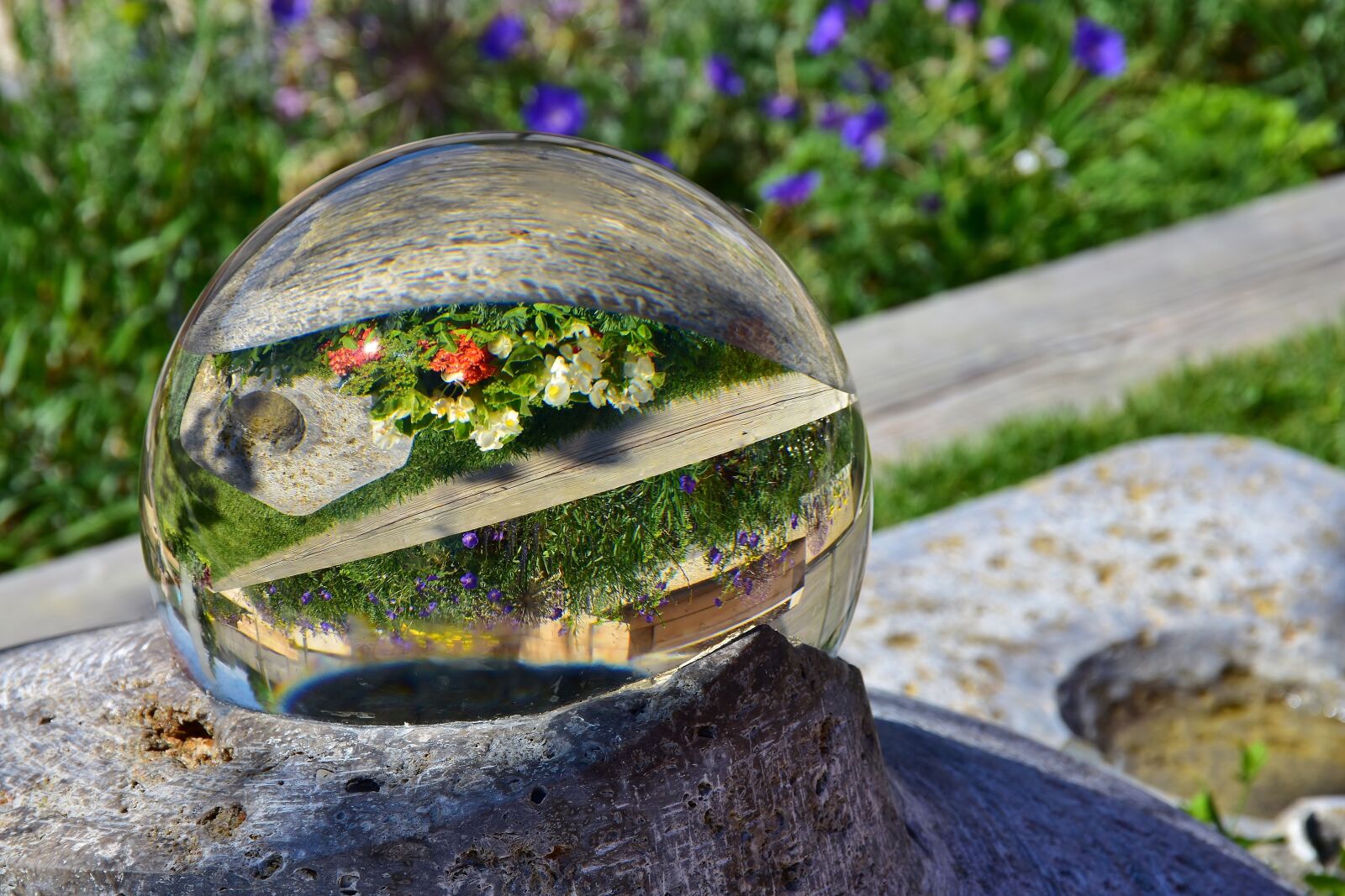 Nikon D7200 sample photo. Glass ball, mirroring, flowers photography