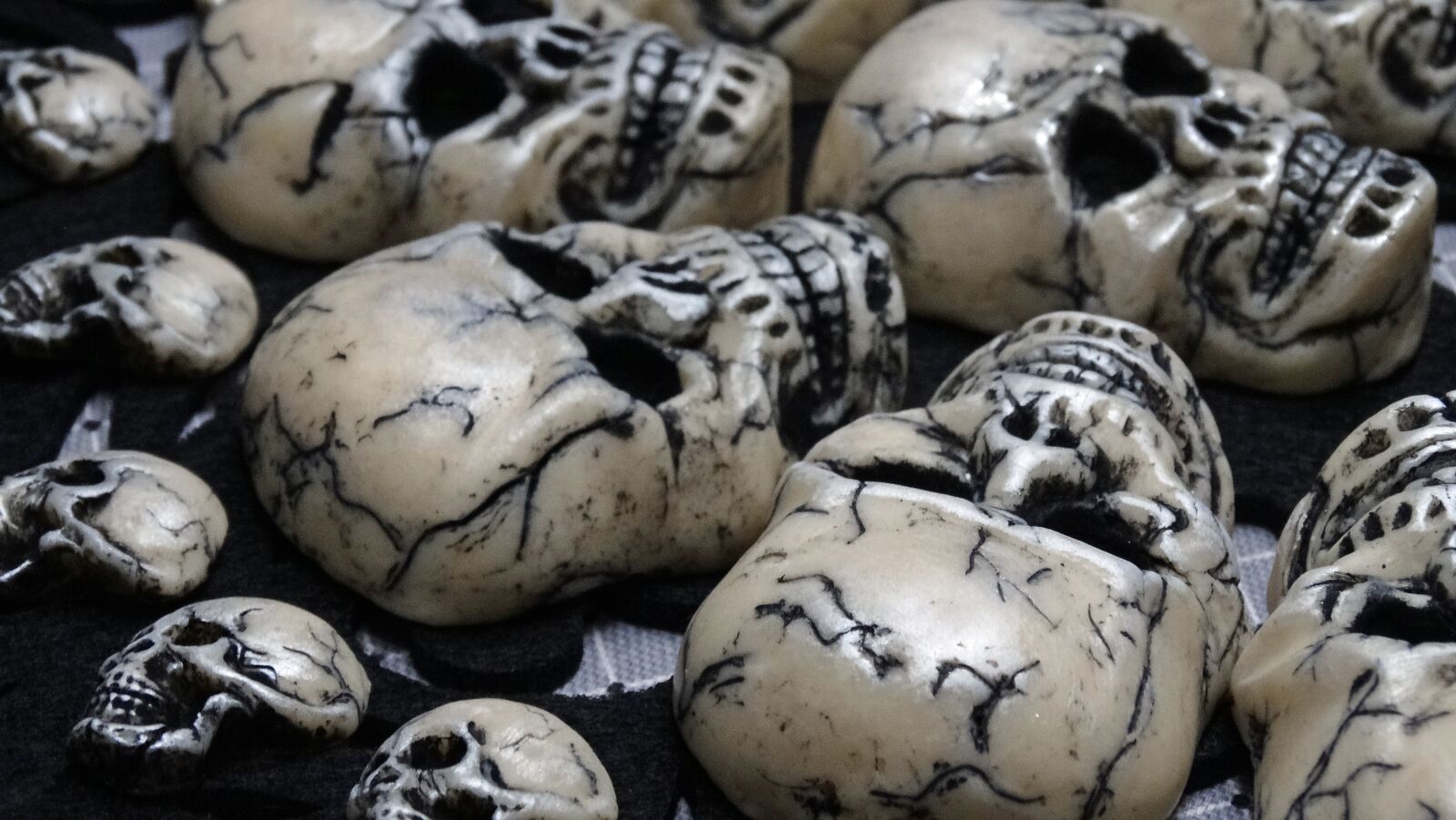 Sony Cyber-shot DSC-HX300 sample photo. Skulls, hand made art photography