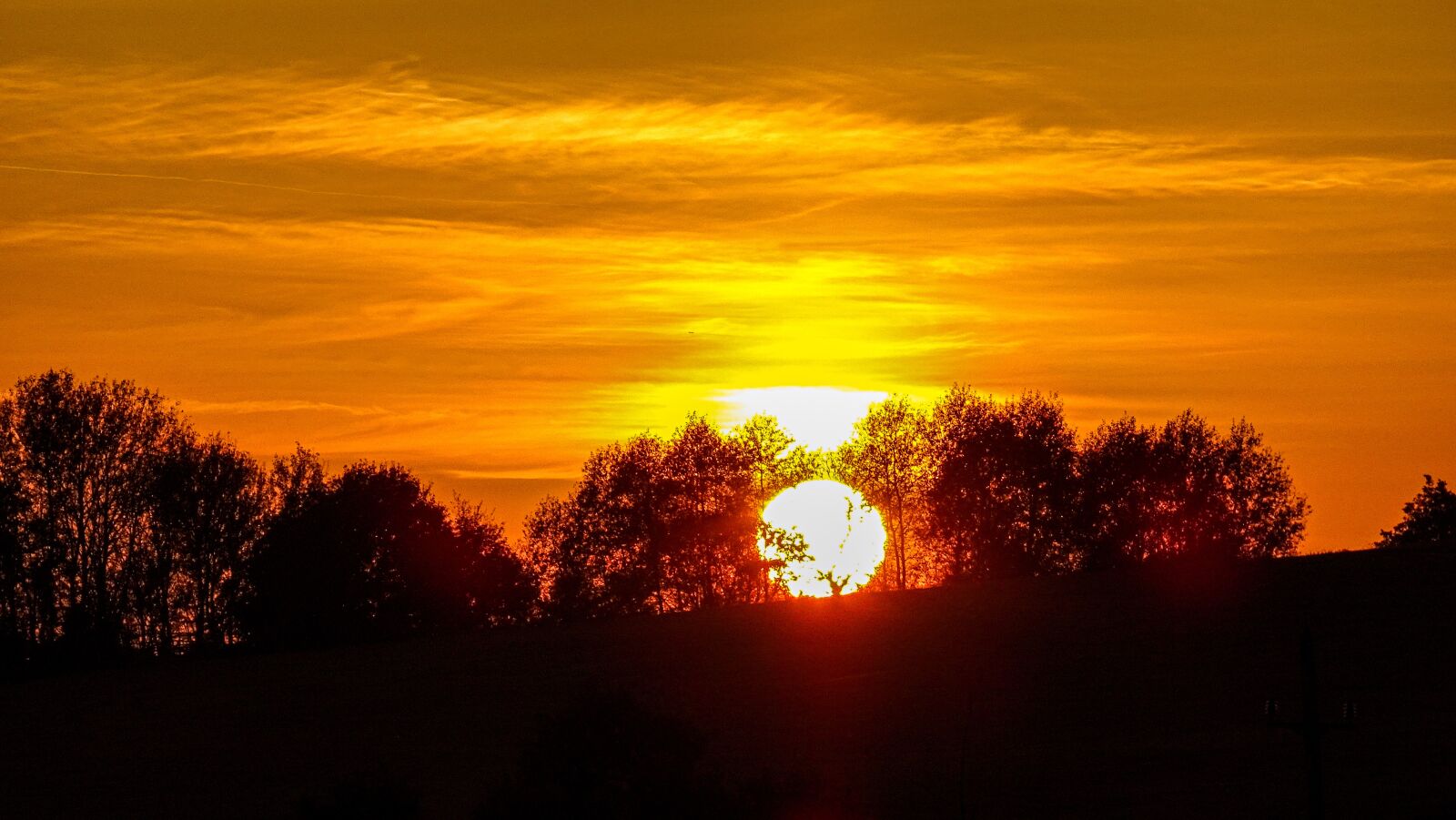 Sony Cyber-shot DSC-HX350 sample photo. Sunset, trees, nature photography