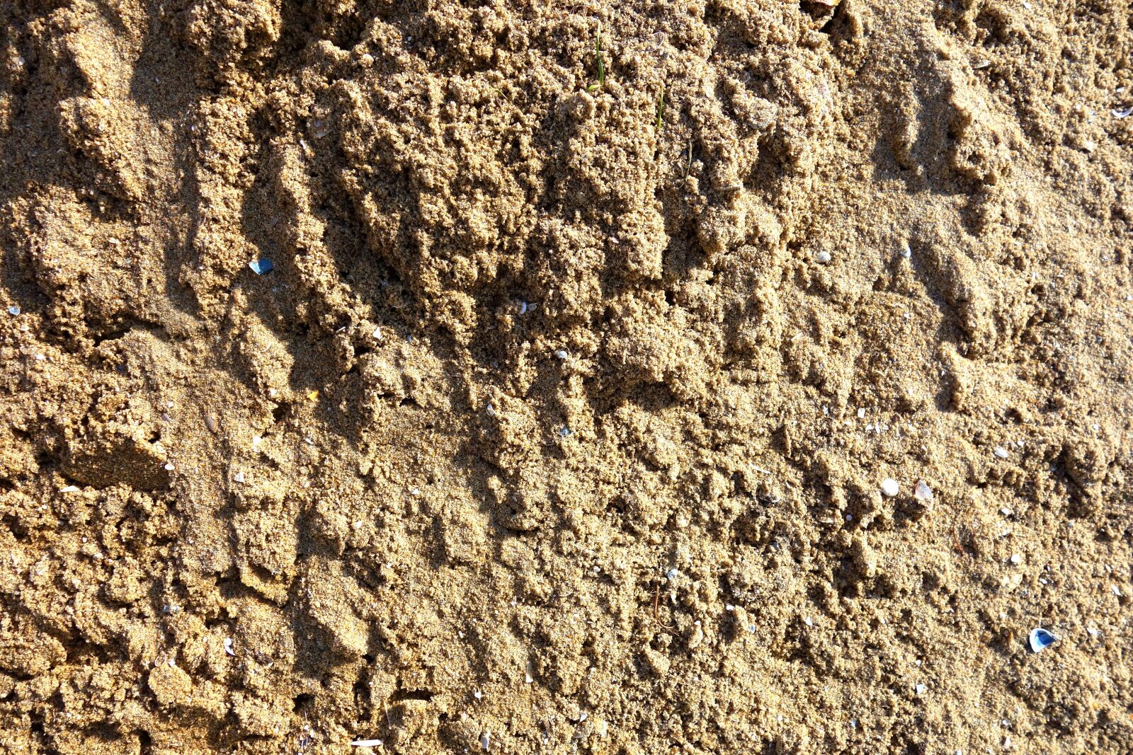 Sony Cyber-shot DSC-RX100 sample photo. Sand, grain, beige photography